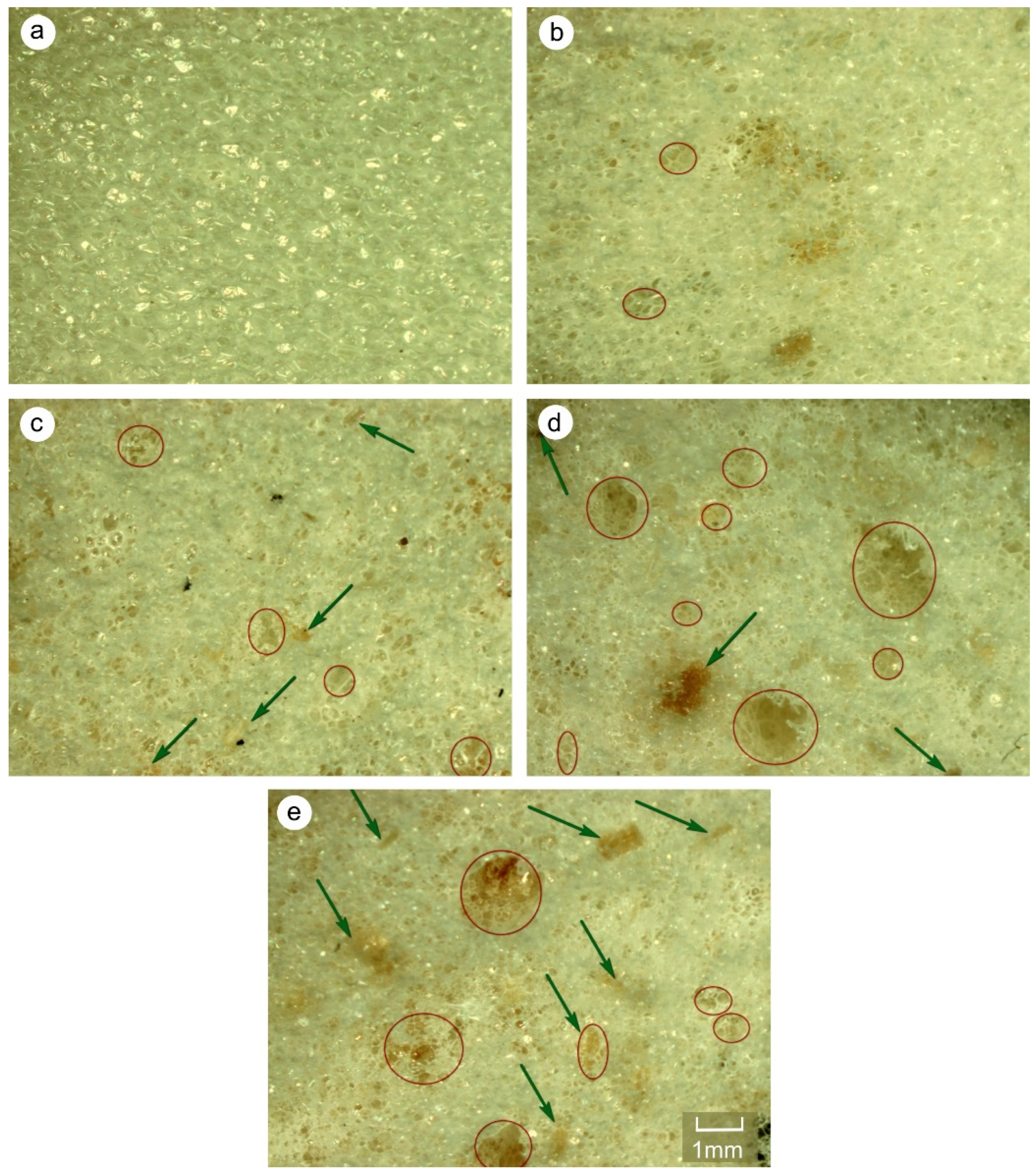 Materials 14 04781 g008