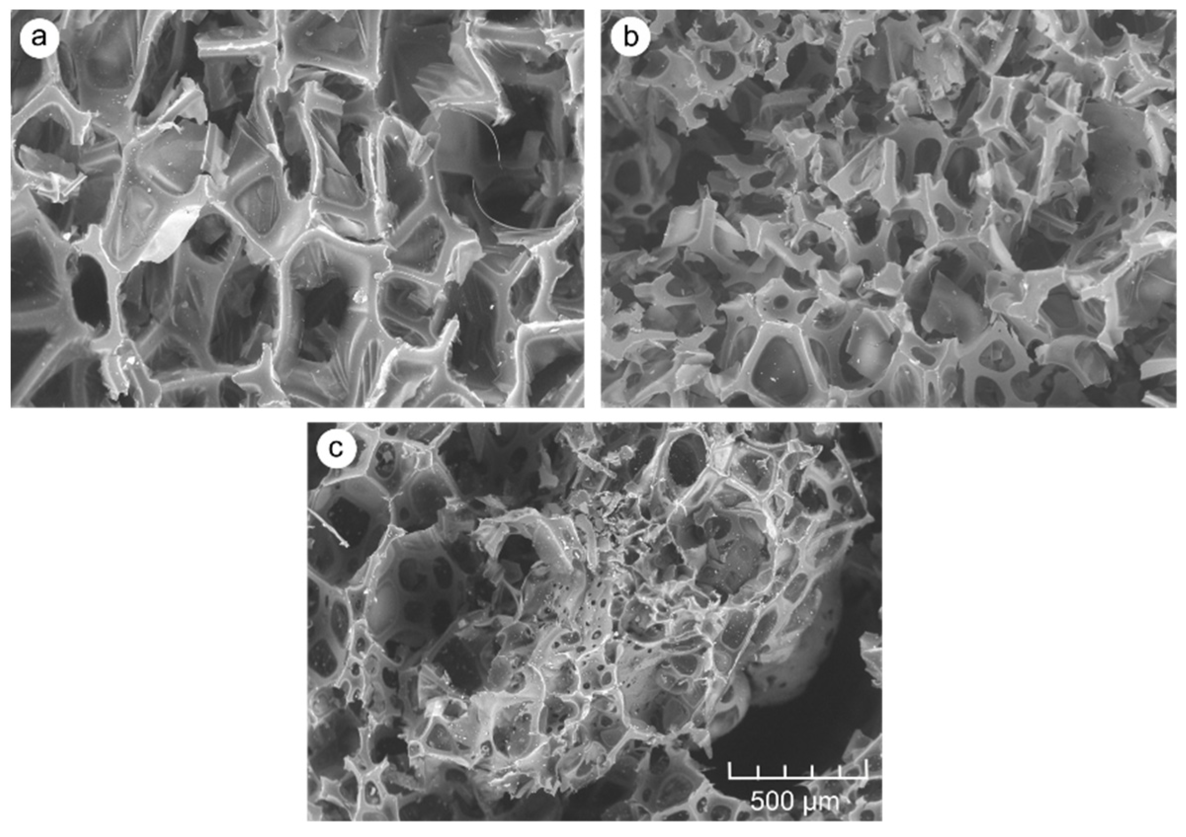 Materials 14 04781 g009