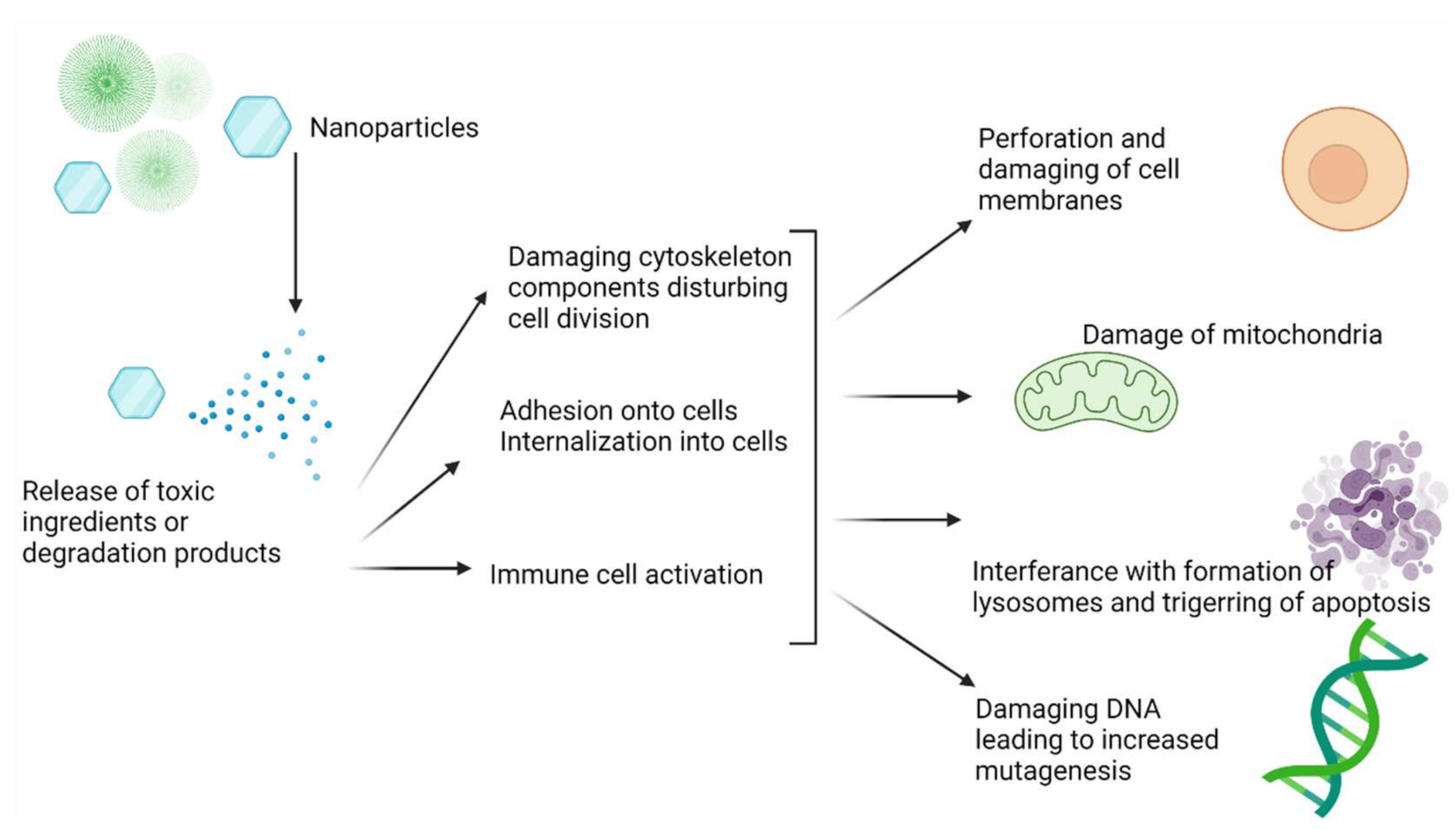Materials 14 04784 g004