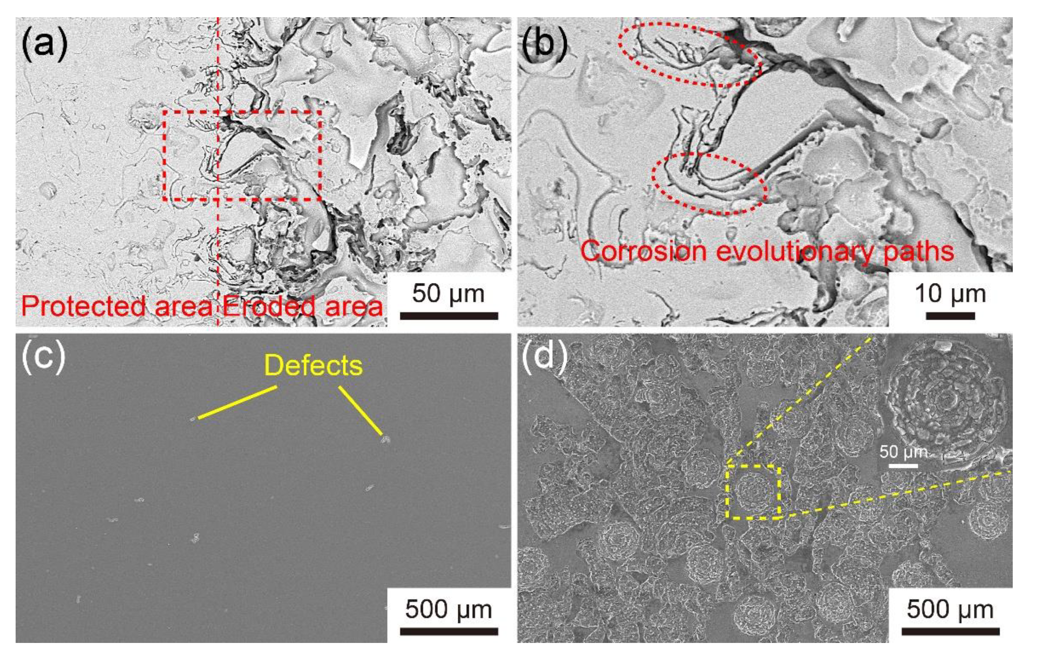 Materials 14 04786 g010 550