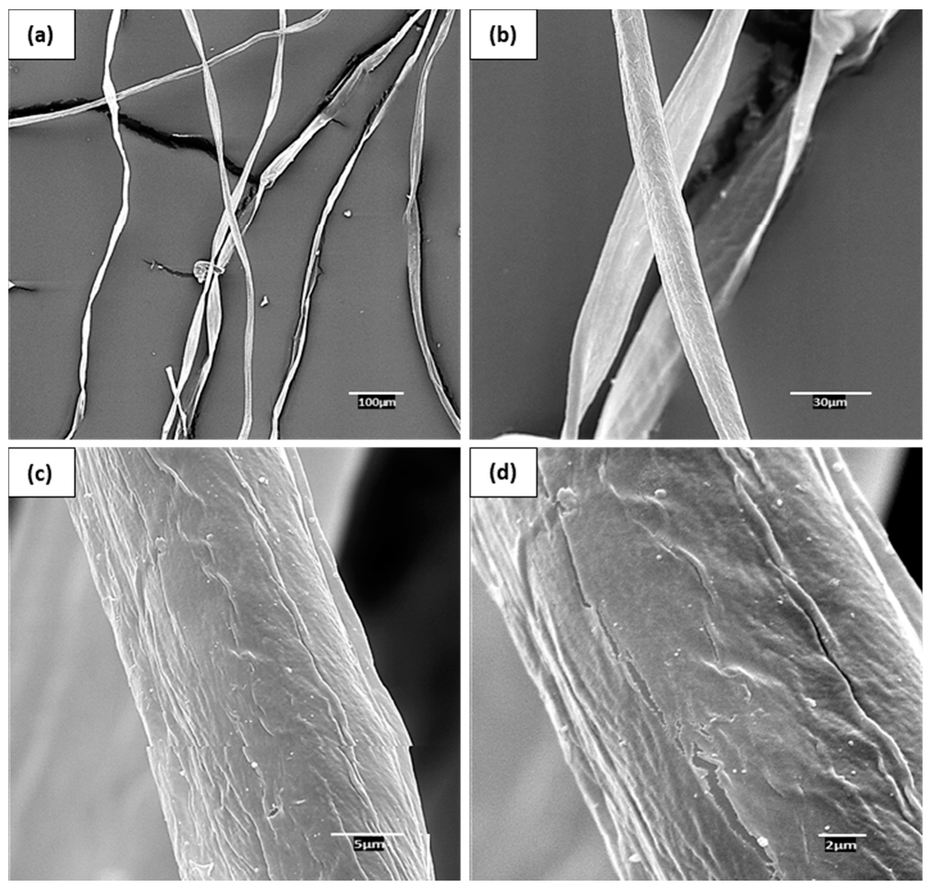 Materials 14 04787 g005 550