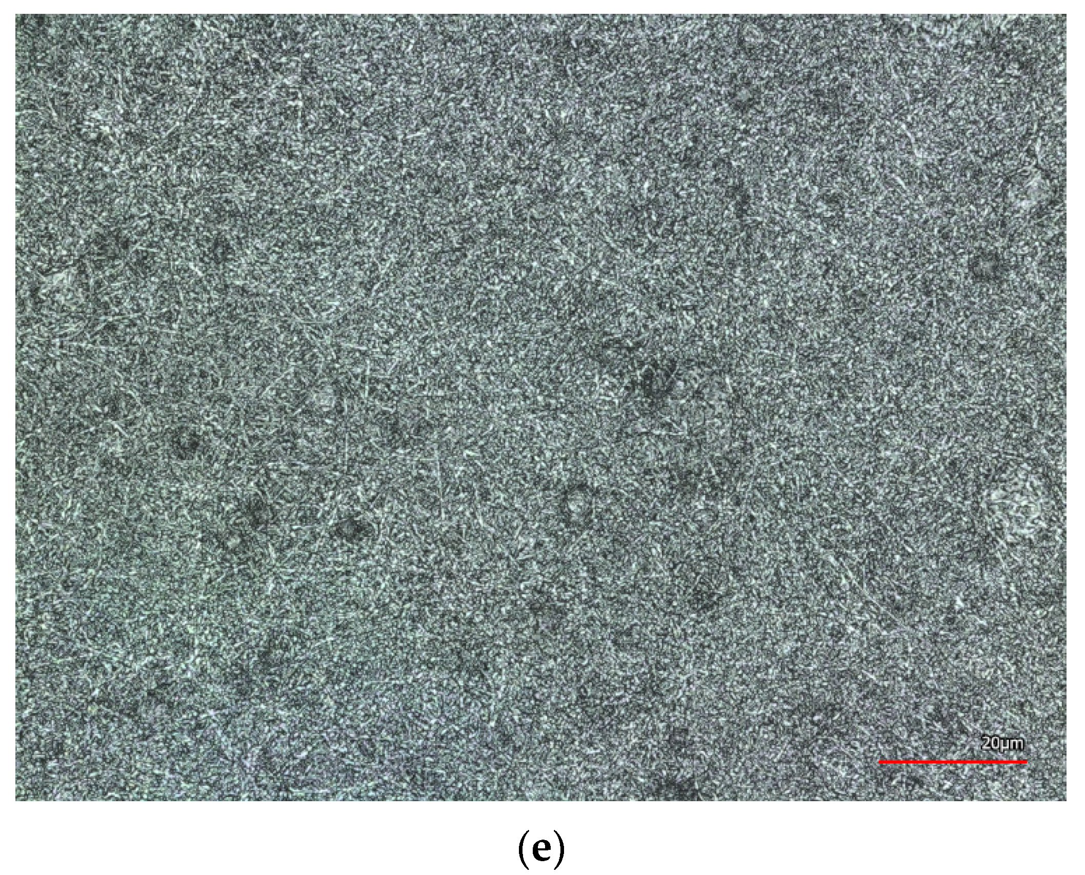 Materials 14 04788 g003b