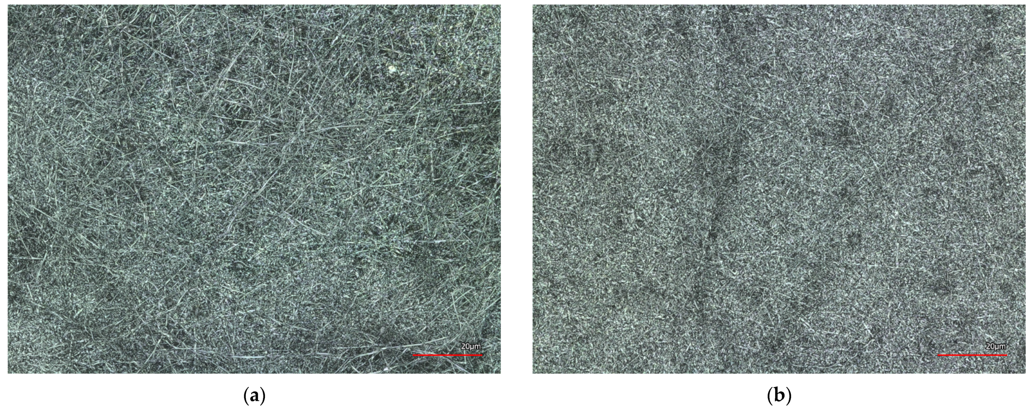 Materials 14 04788 g004