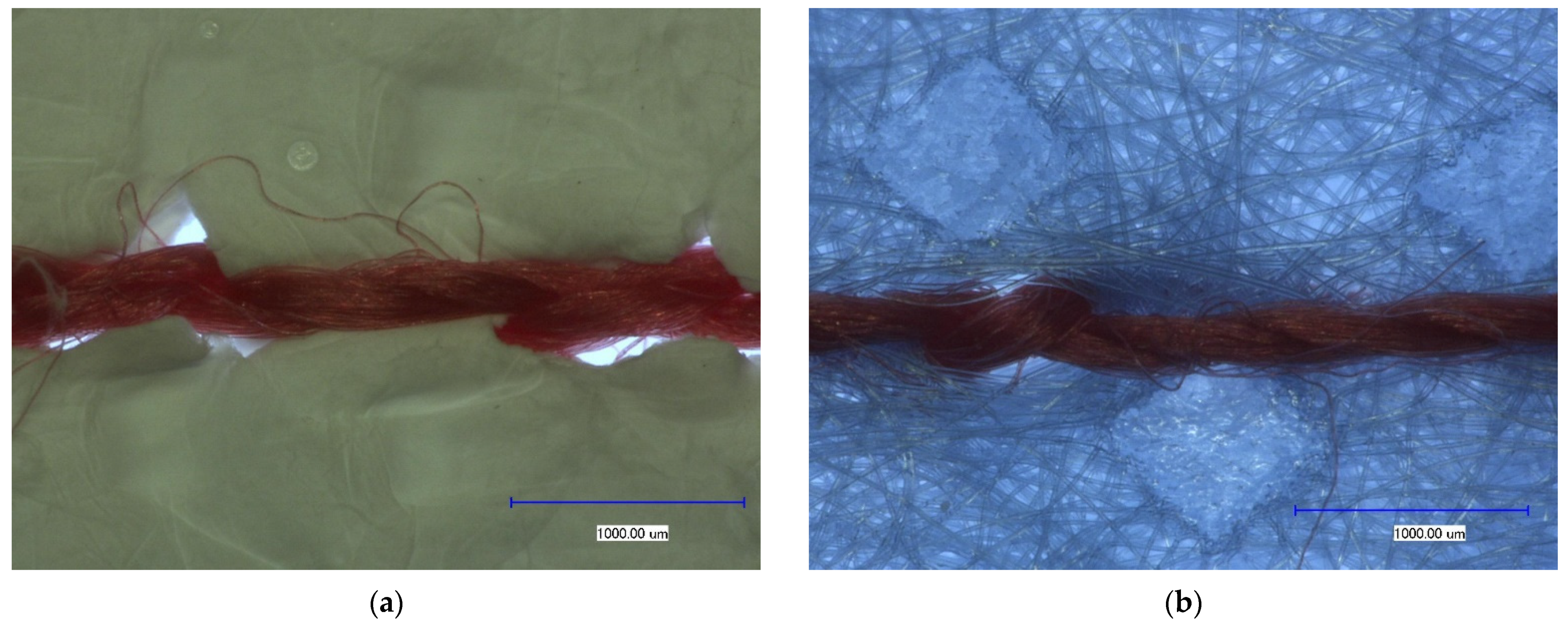 Materials 14 04788 g005