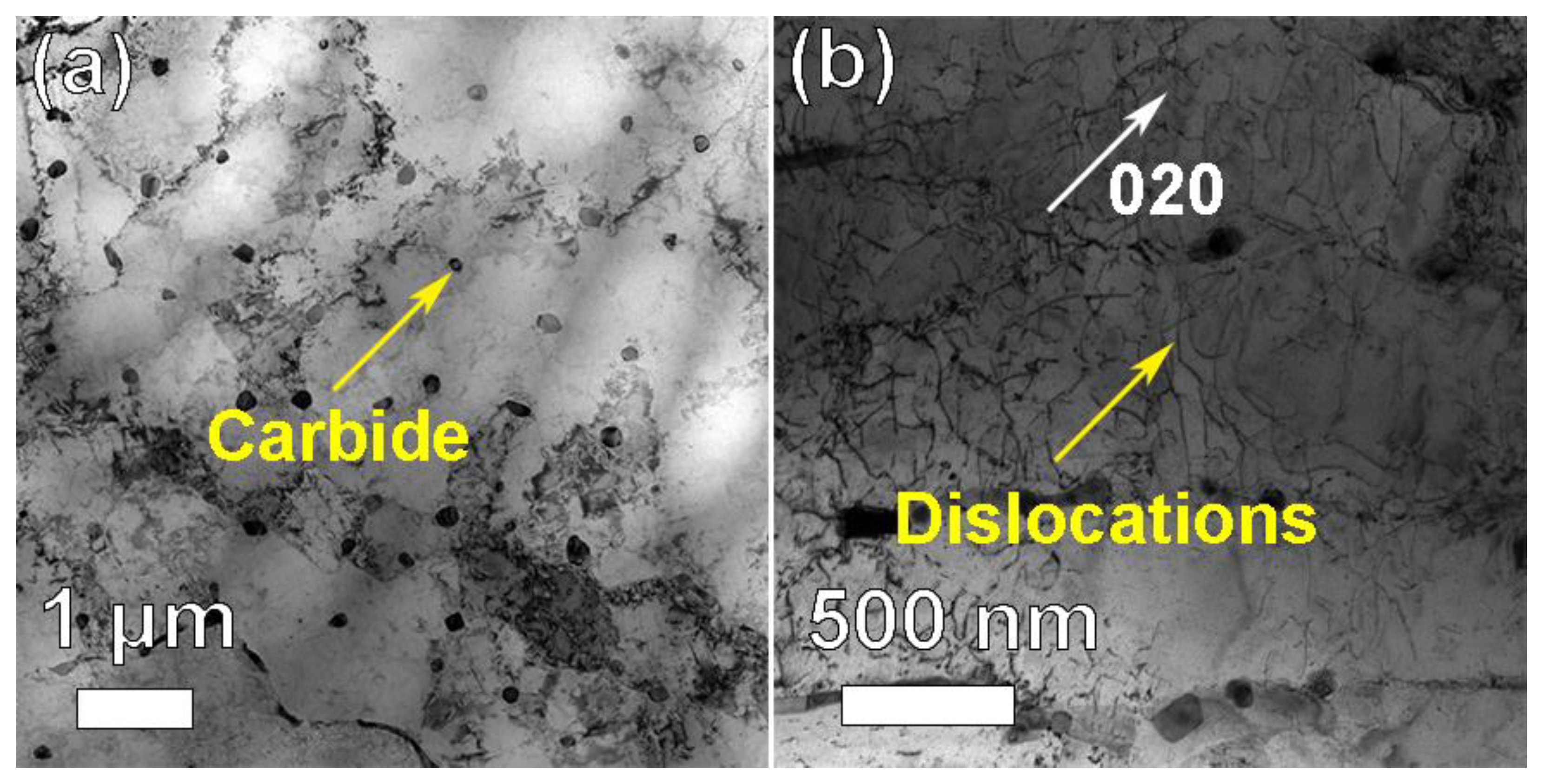 Materials 14 04792 g008 550
