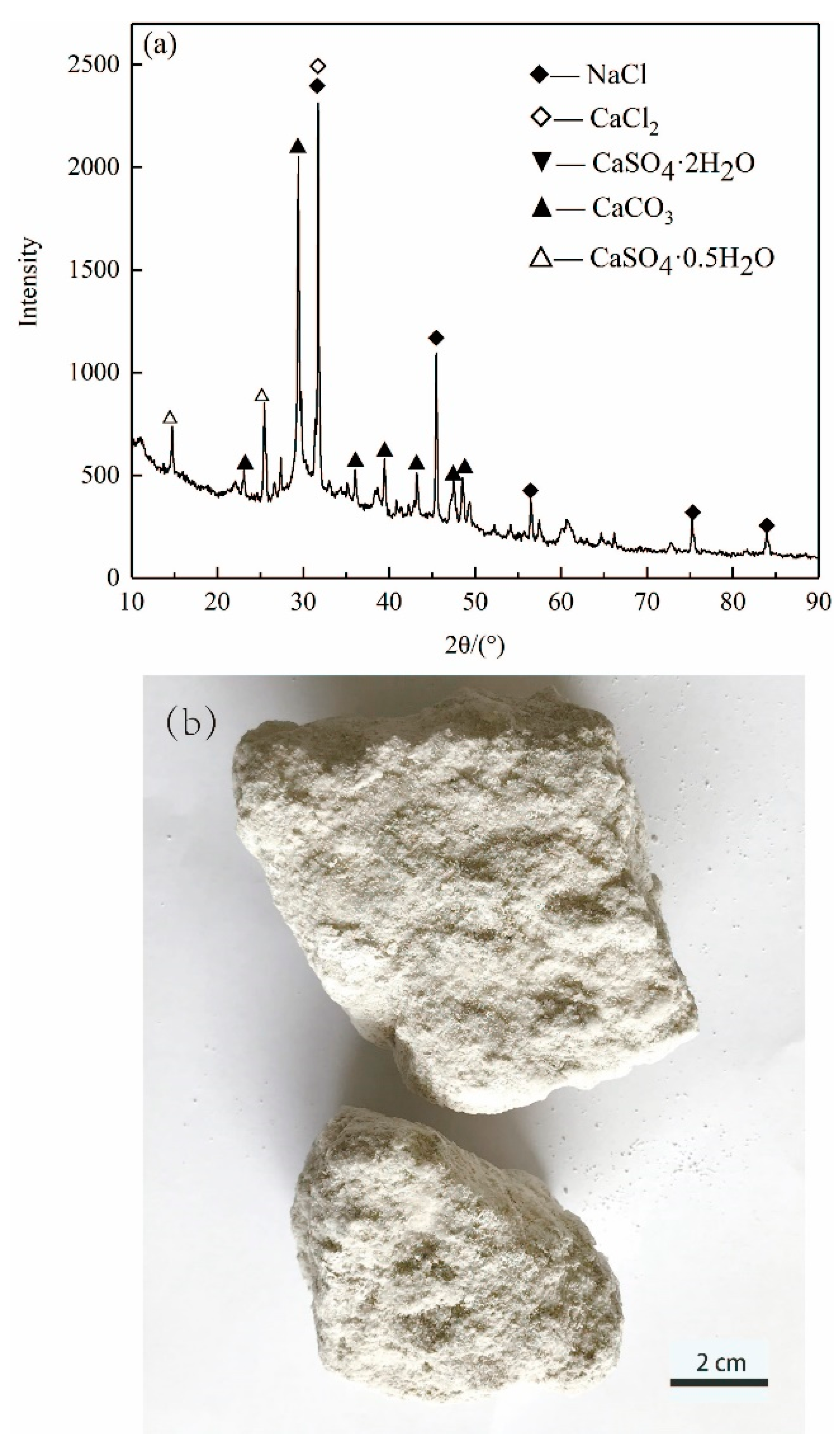 Materials 14 04794 g001 550