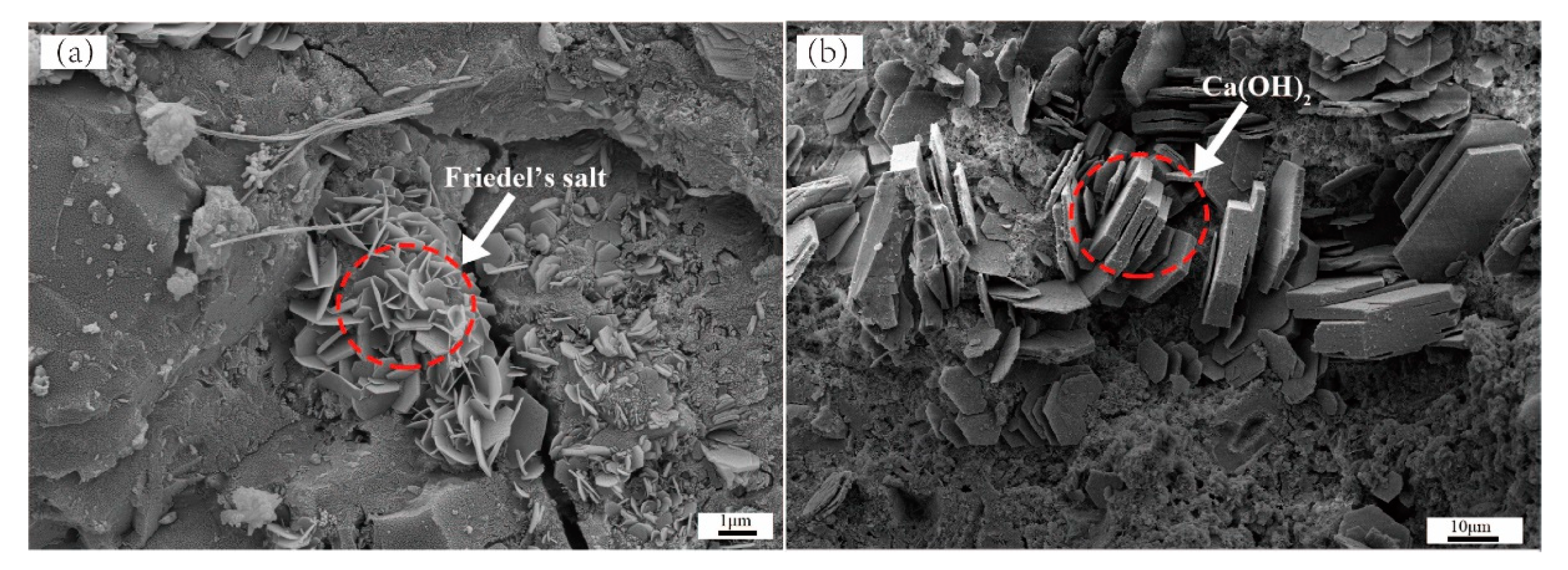 Materials 14 04794 g003 550