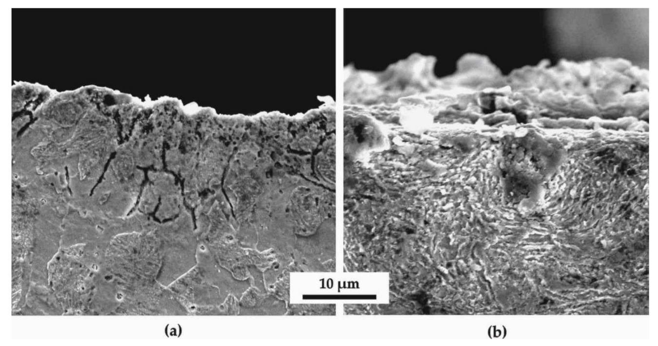 Materials 14 04795 g004 550