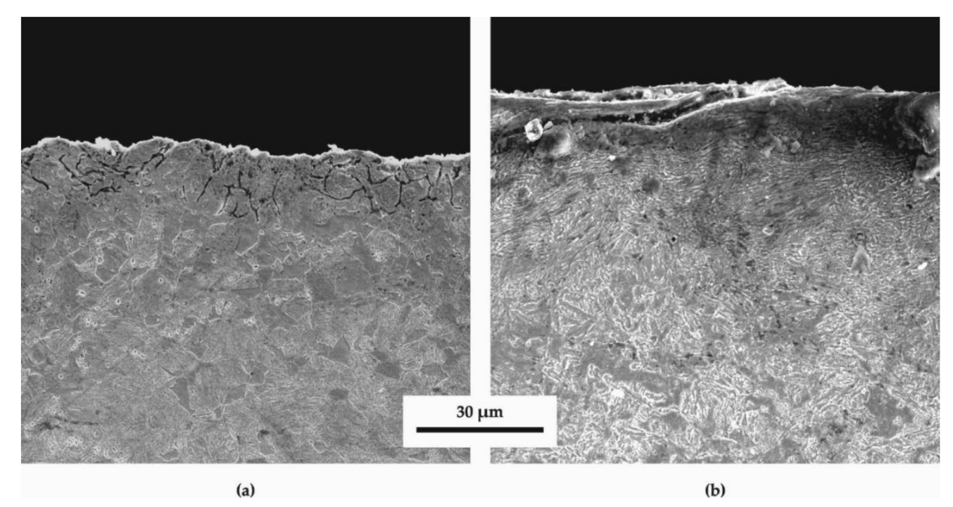 Materials 14 04795 g005 550