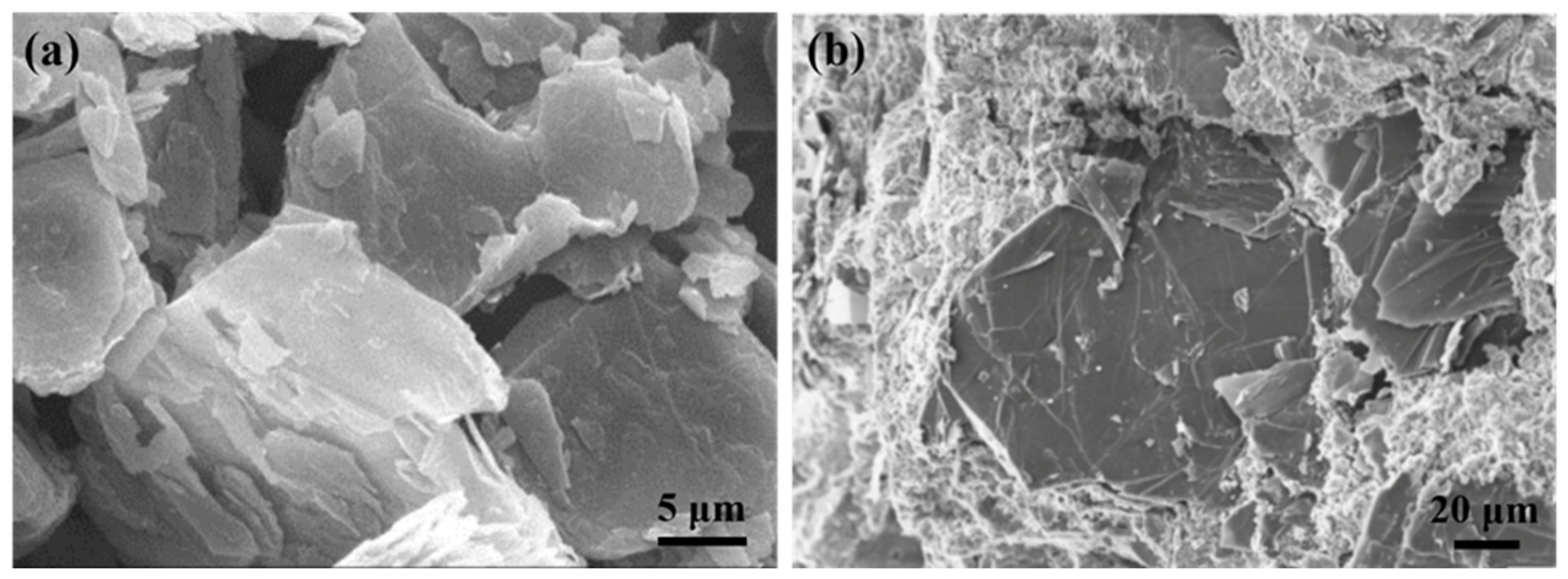 Materials 14 04798 g008 550