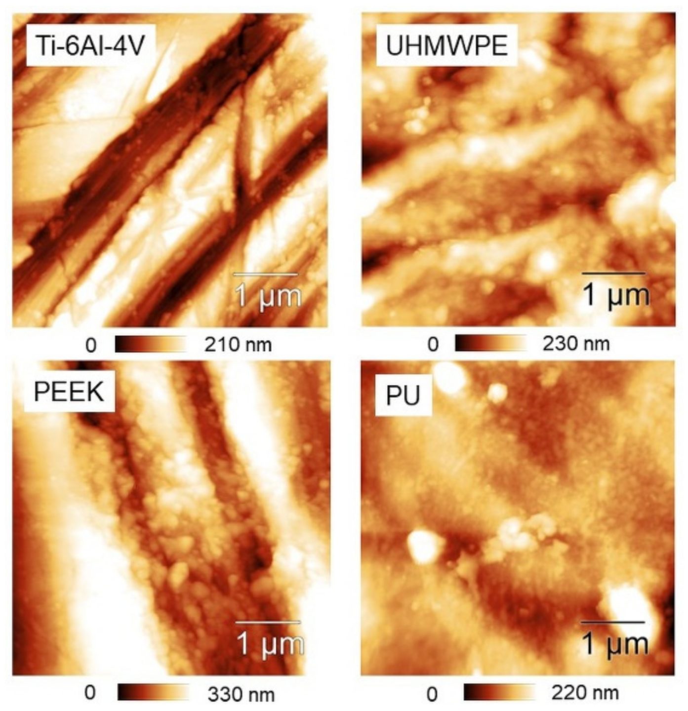 Materials 14 04803 g006 550