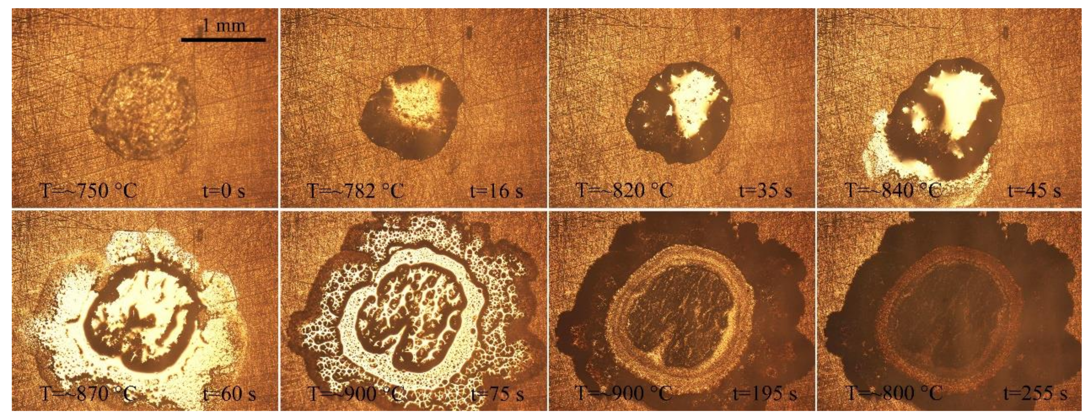 Materials 14 04804 g012 Materials 14 04804 g012