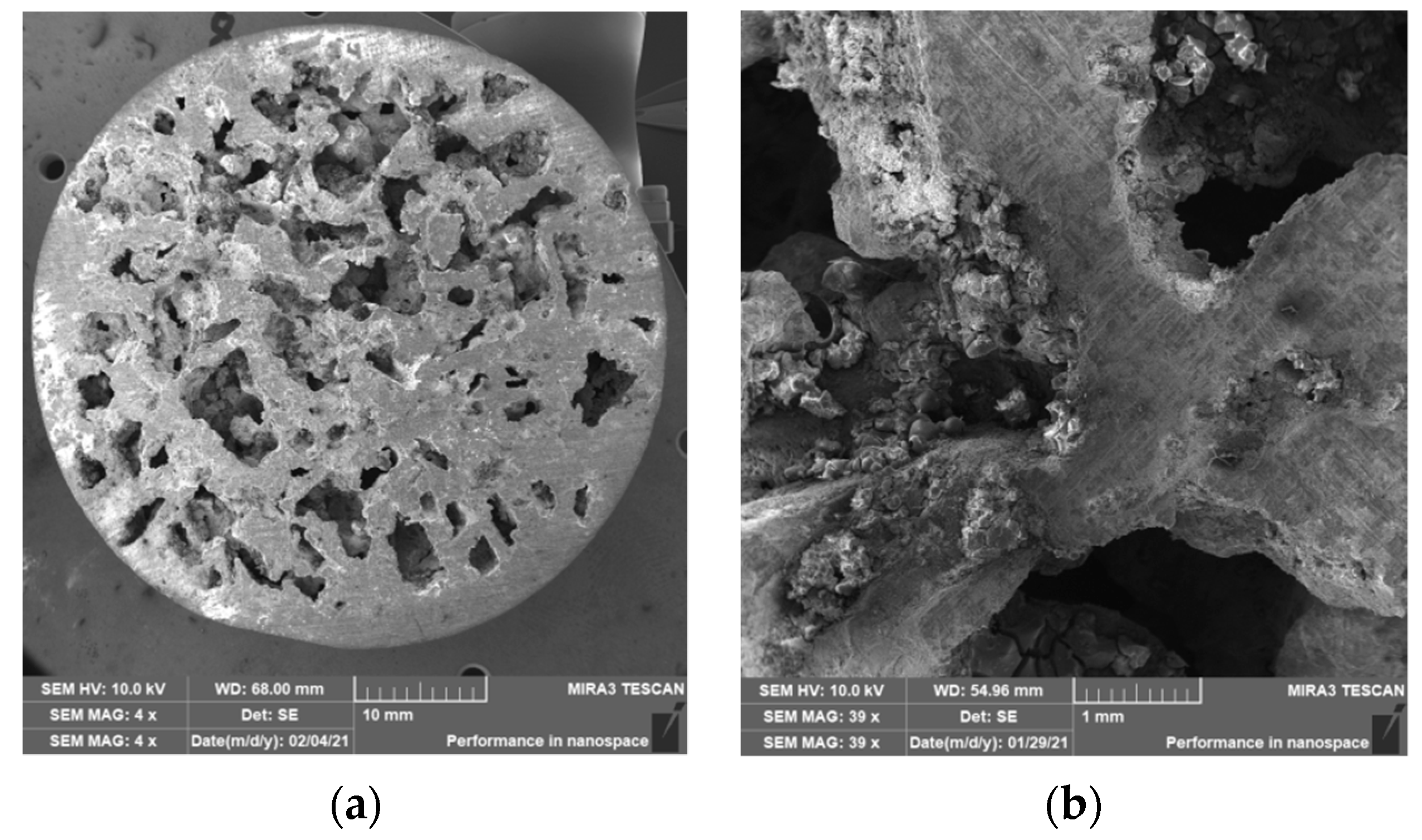 Materials 14 04809 g011