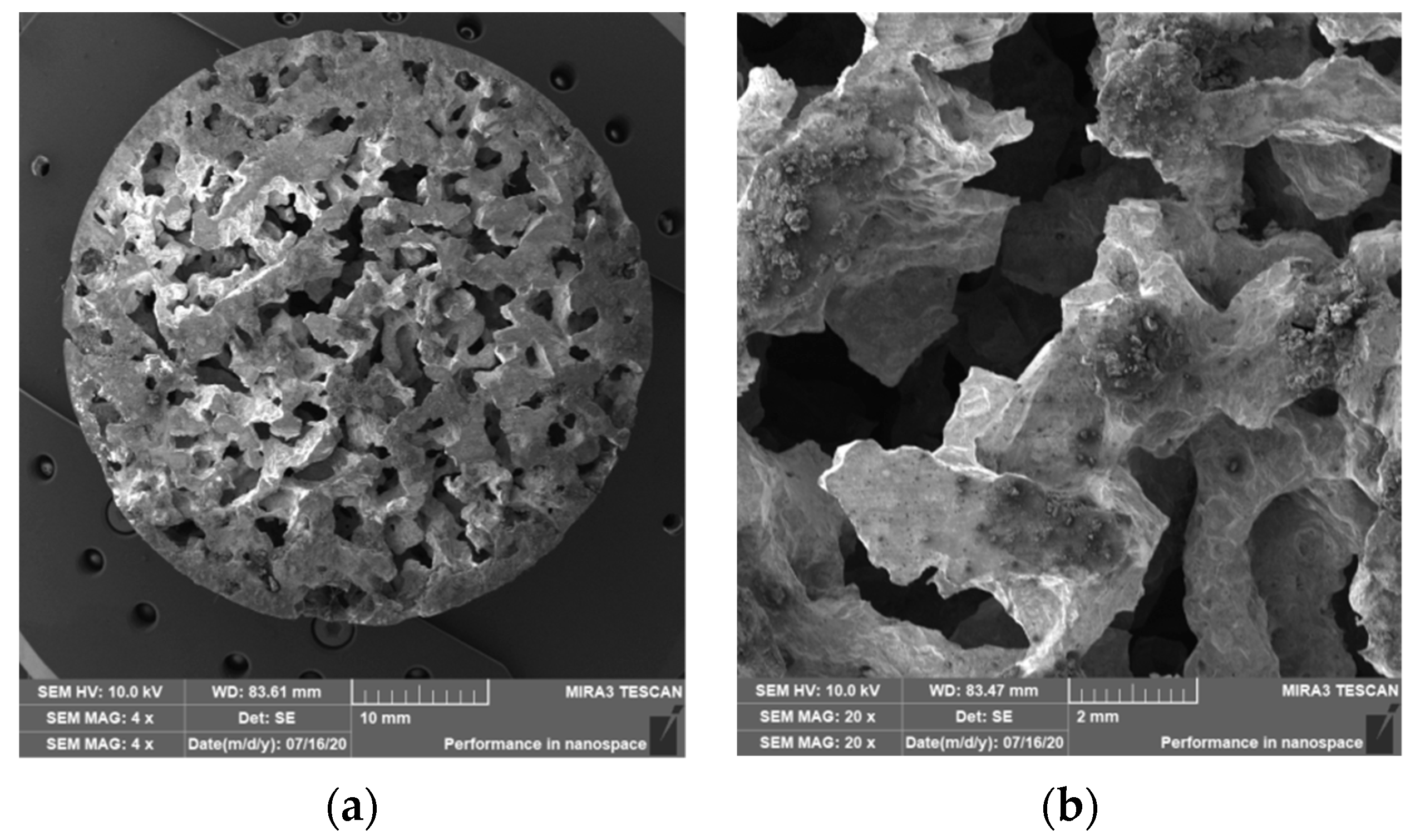 Materials 14 04809 g013