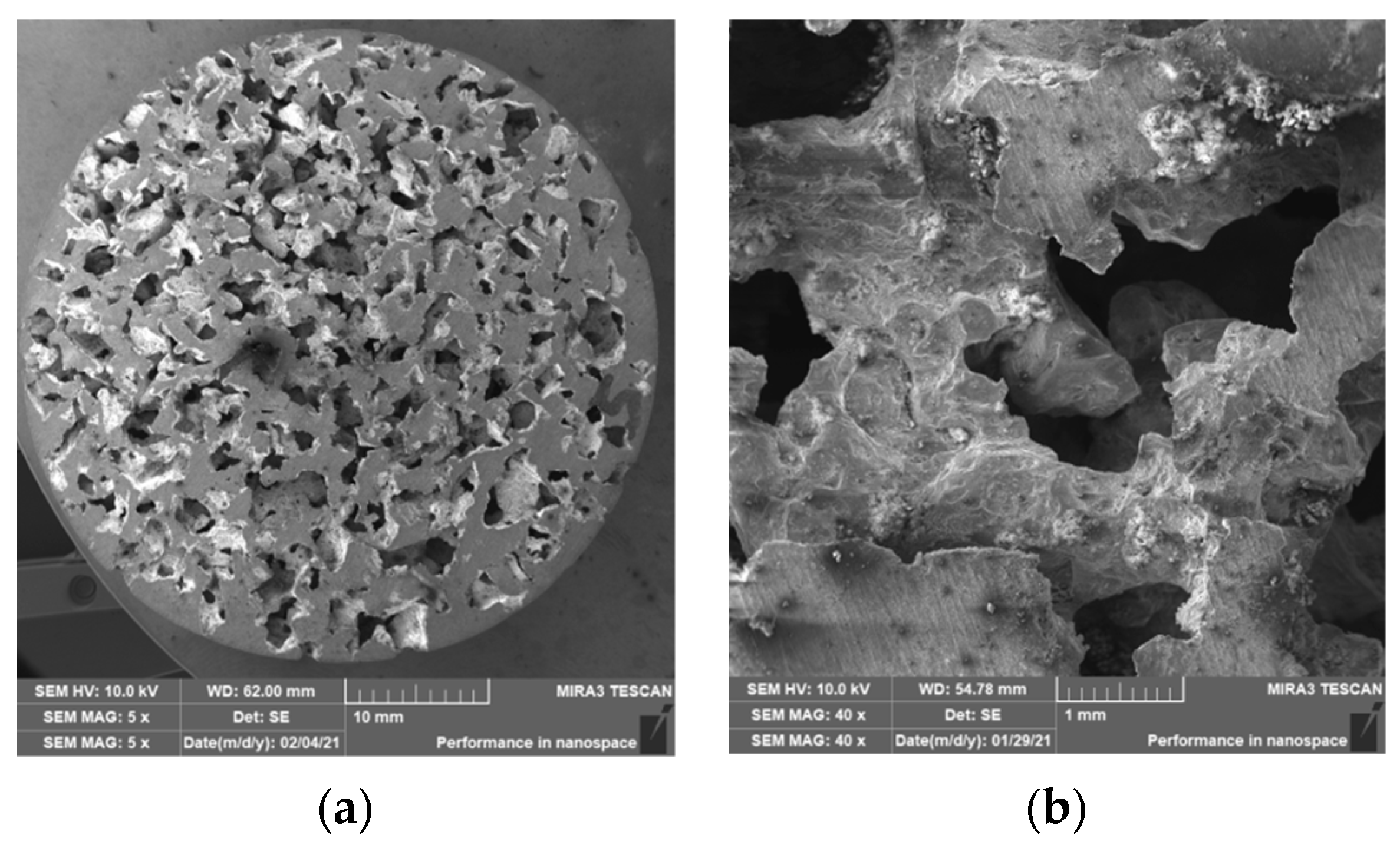 Materials 14 04809 g017