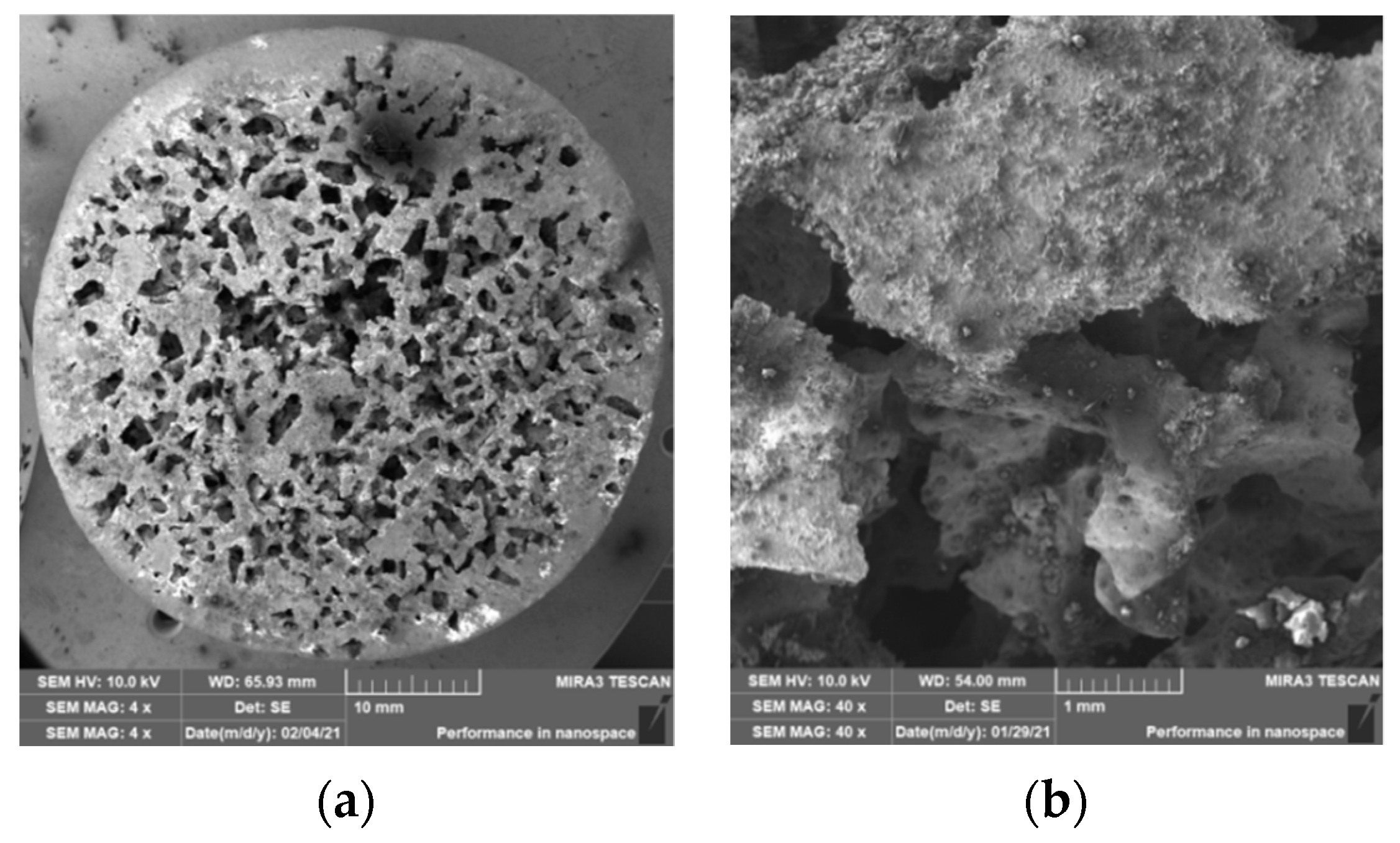 Materials 14 04809 g019