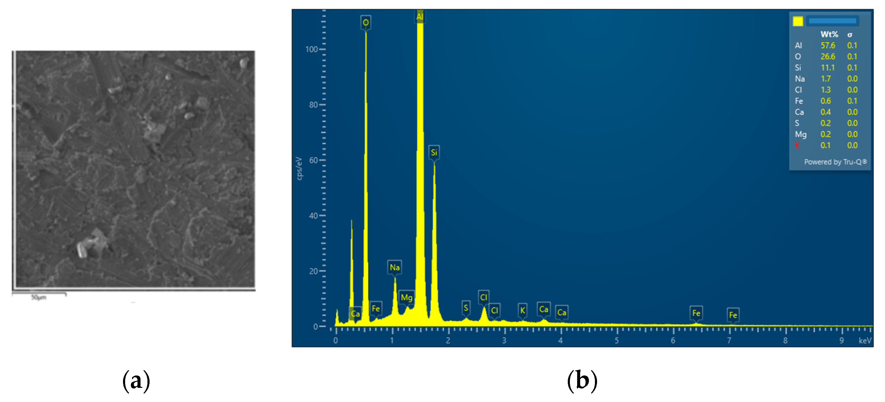 Materials 14 04809 g020