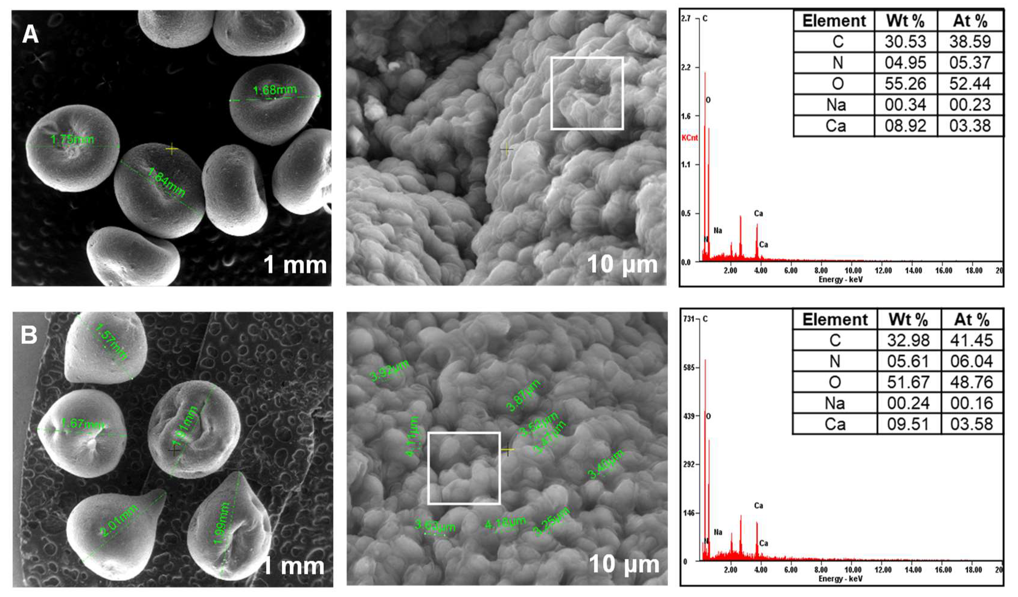 Materials 14 04810 g005 550