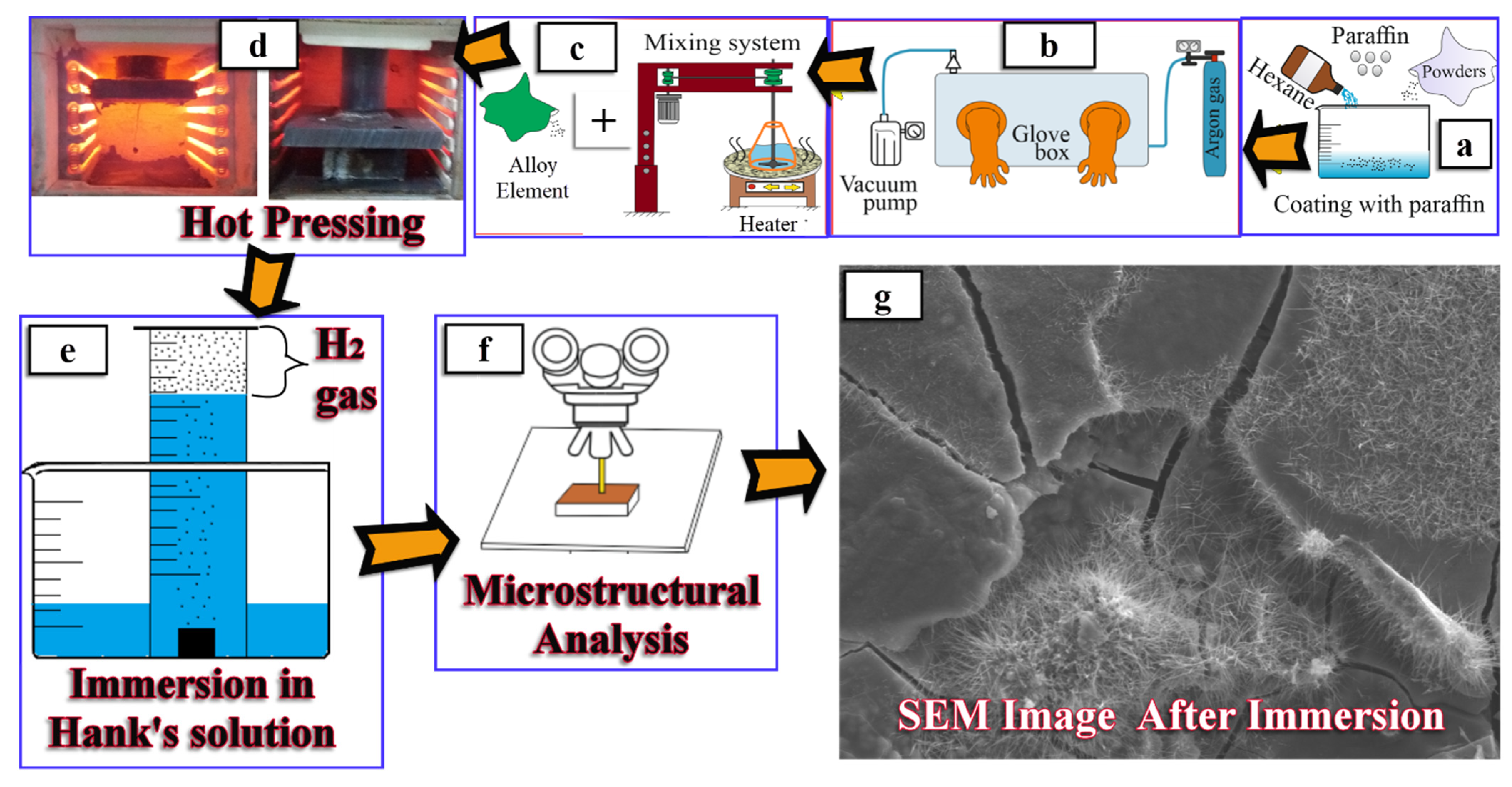 Materials 14 04819 g001