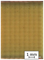 Materials 14 04823 i002