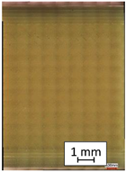 Materials 14 04823 i004