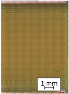 Materials 14 04823 i005