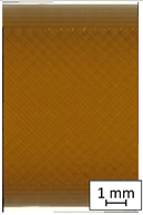 Materials 14 04823 i016