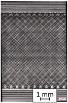 Materials 14 04823 i022