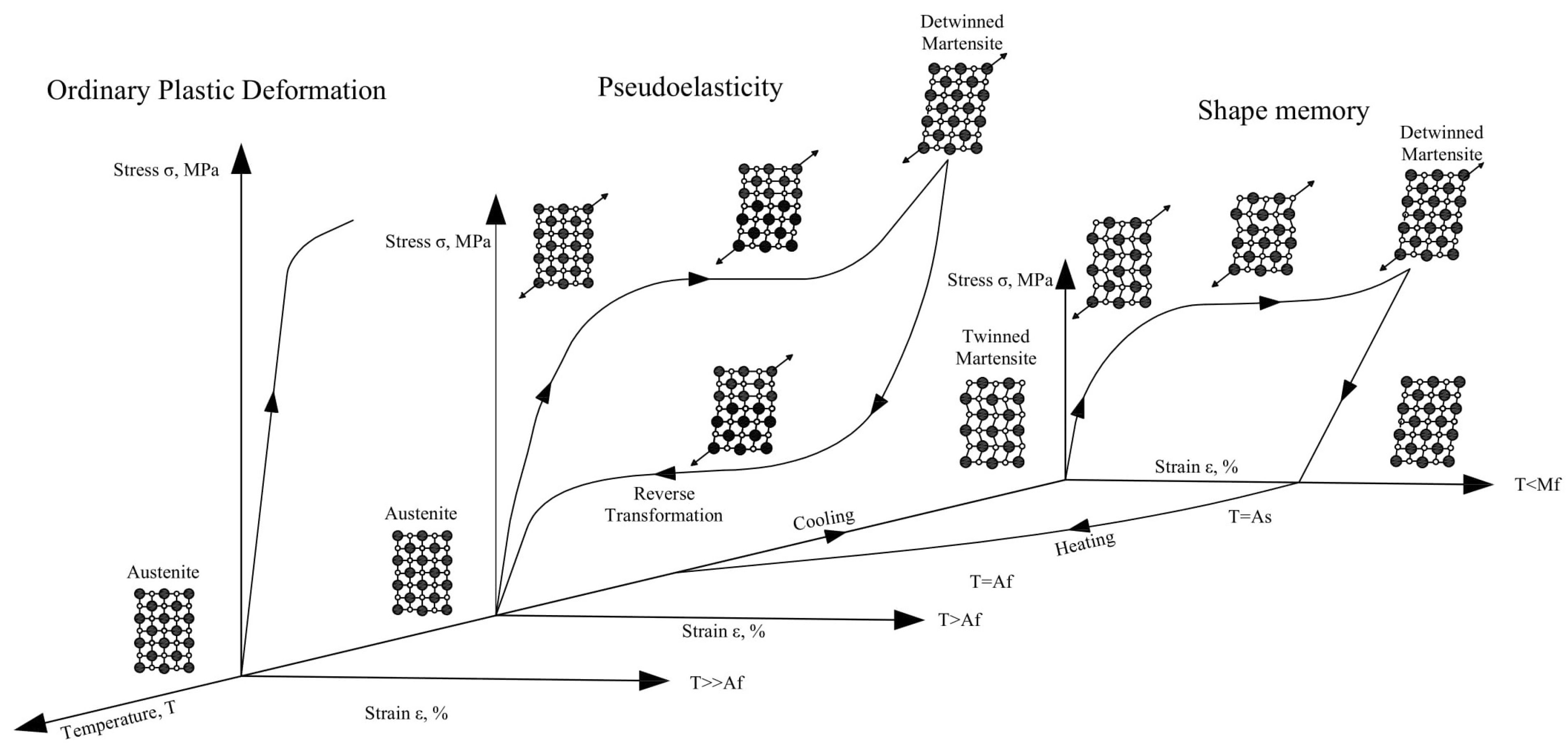 Materials 14 04824 g006 550