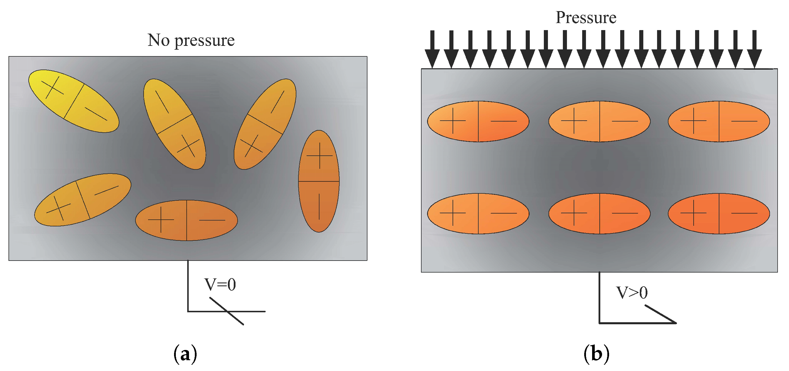 Materials 14 04824 g007 550