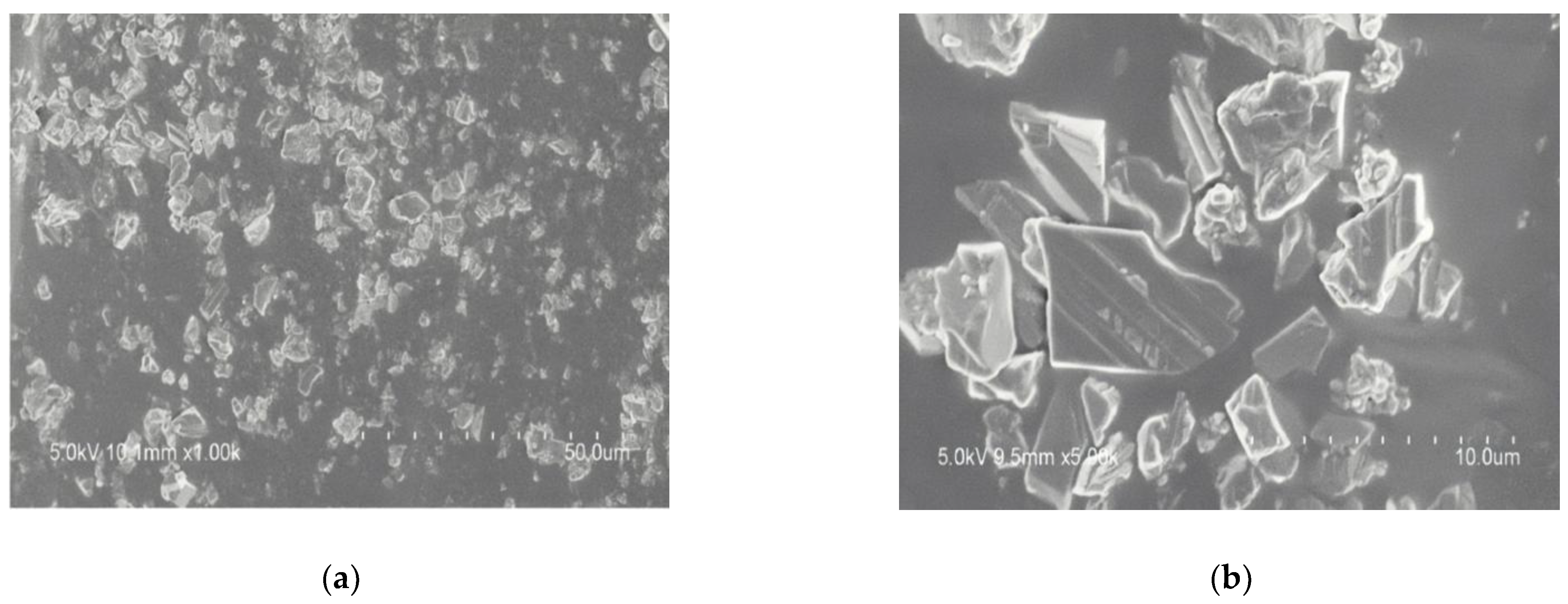 Materials 14 04828 g006