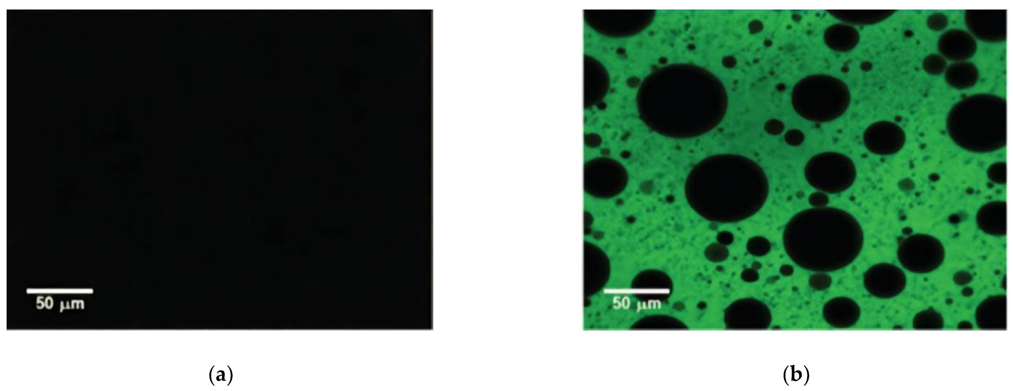 Materials 14 04828 g007