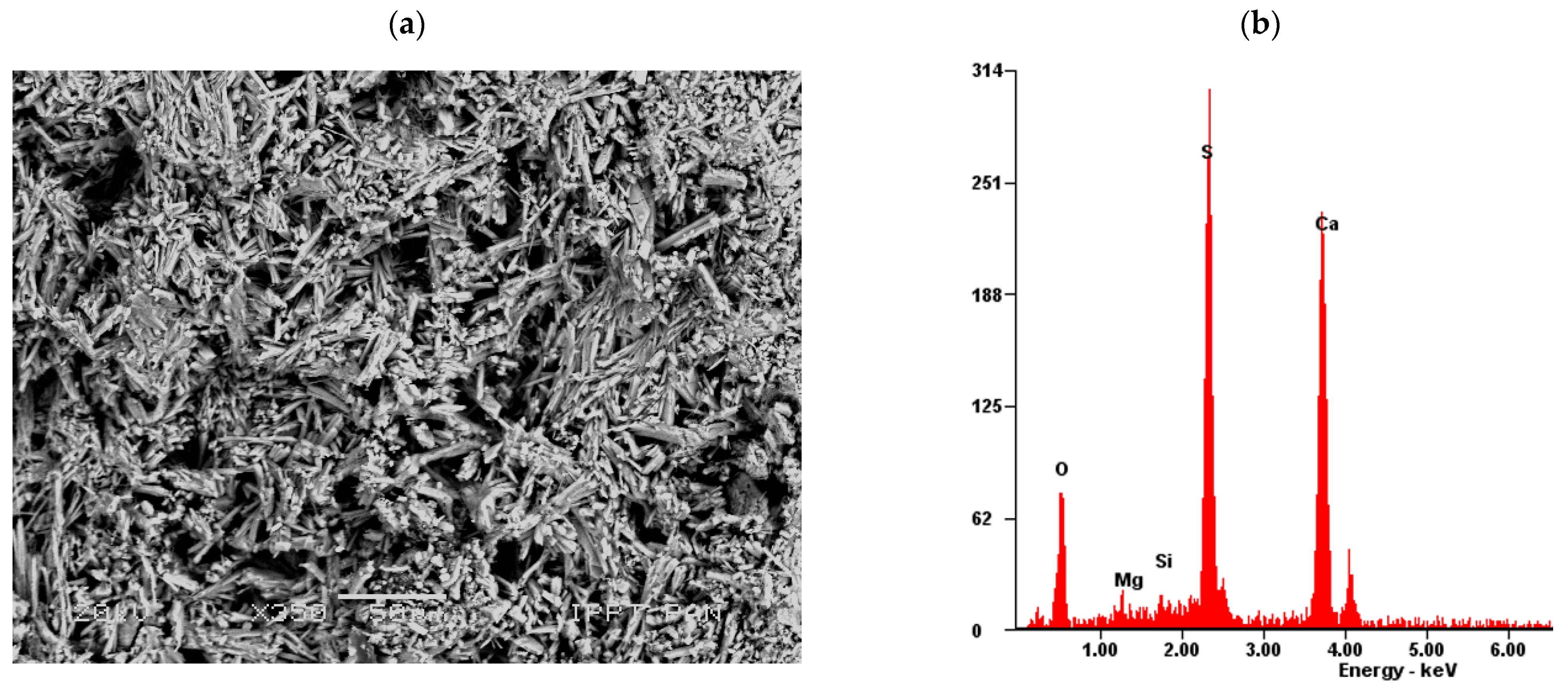 Materials 14 04830 g008 550