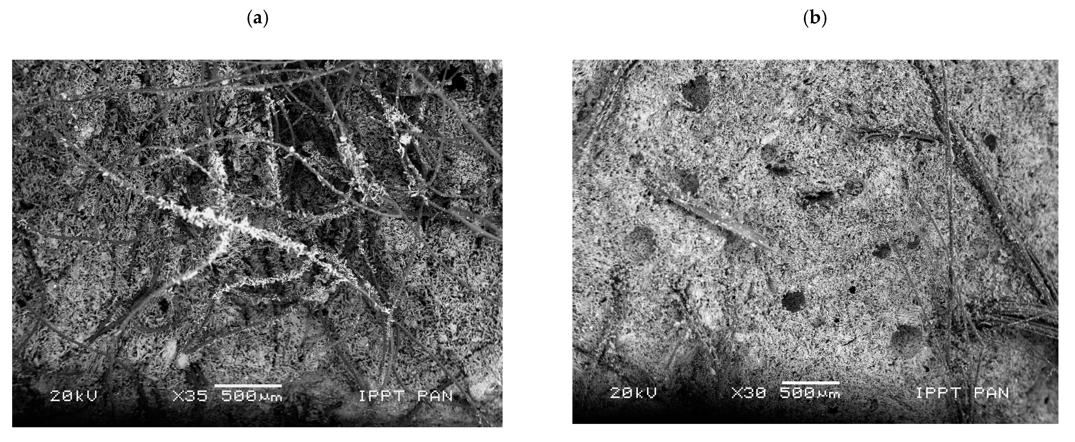 Materials 14 04830 g009 550