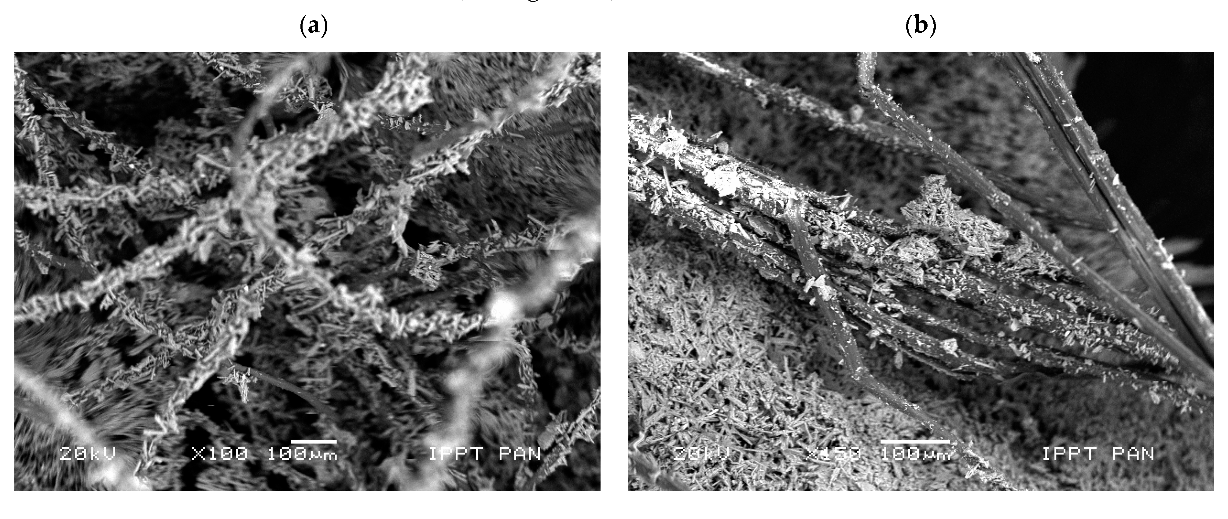 Materials 14 04830 g010 550