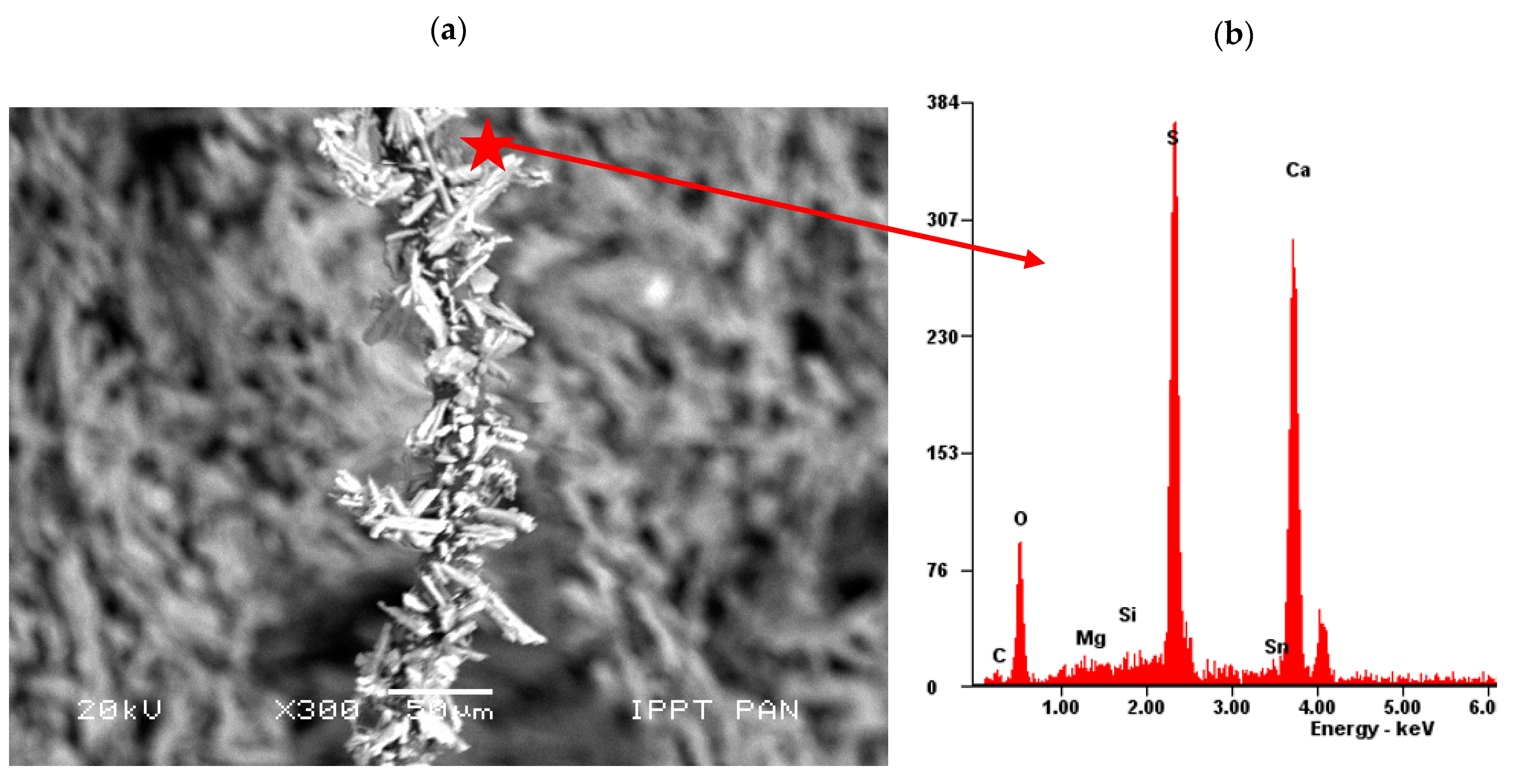 Materials 14 04830 g011 550