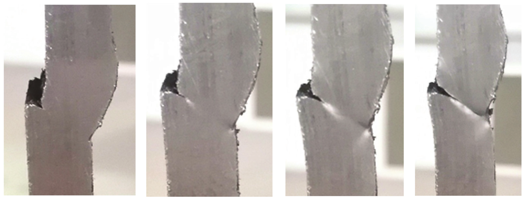 Materials 14 04832 g012 550