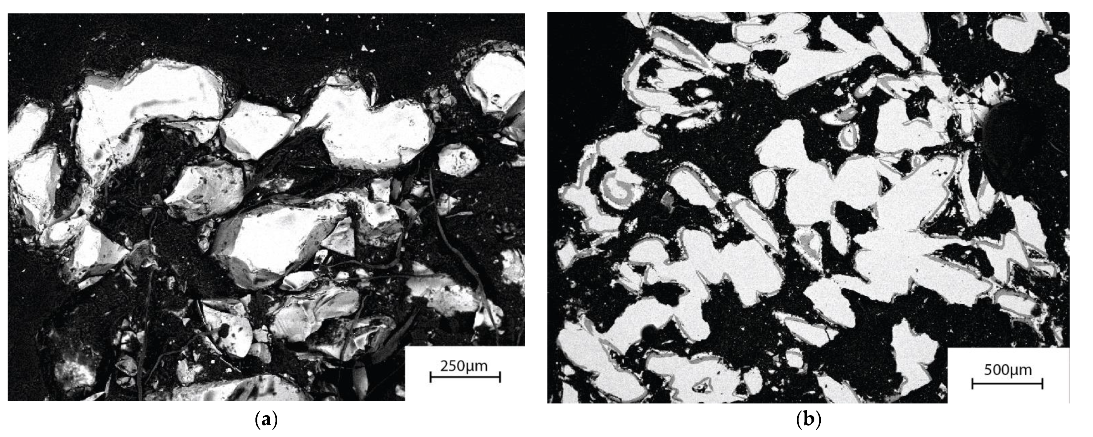 Materials 14 04834 g005 550