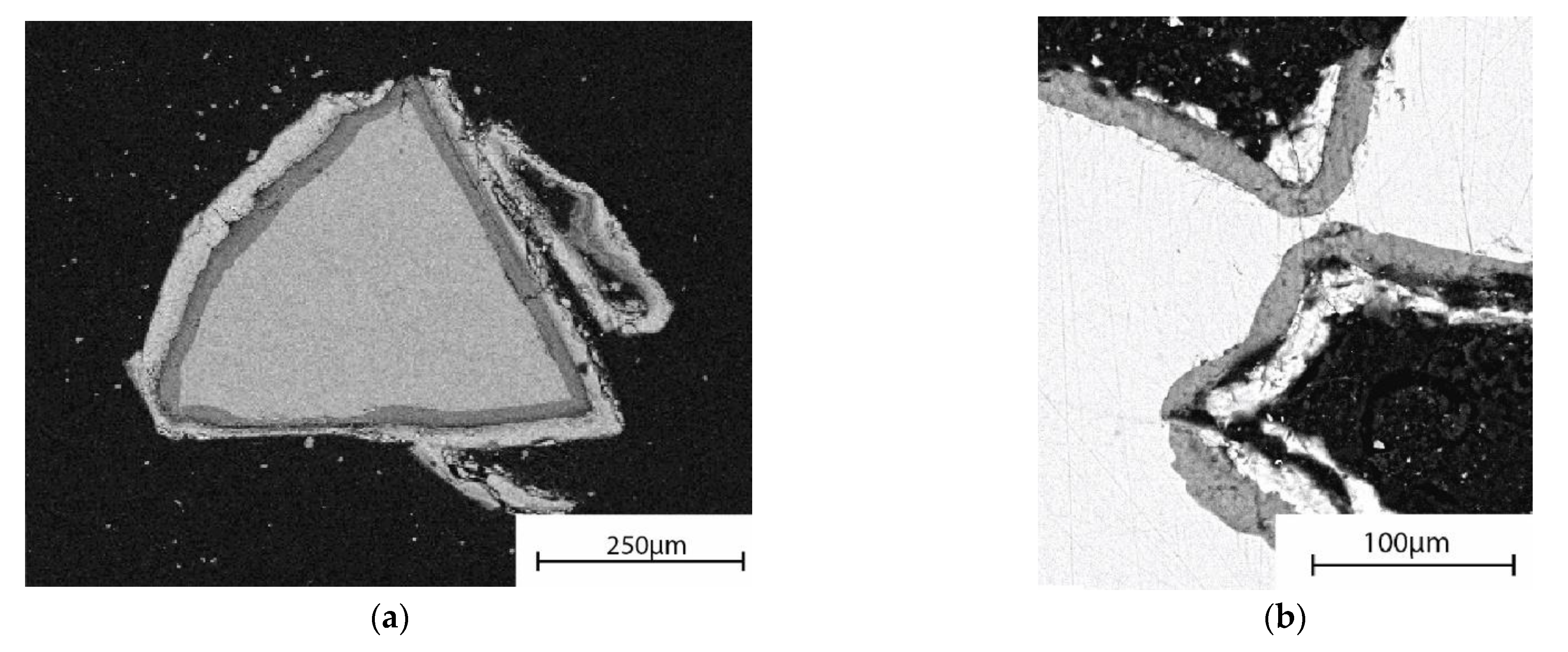 Materials 14 04834 g006 550