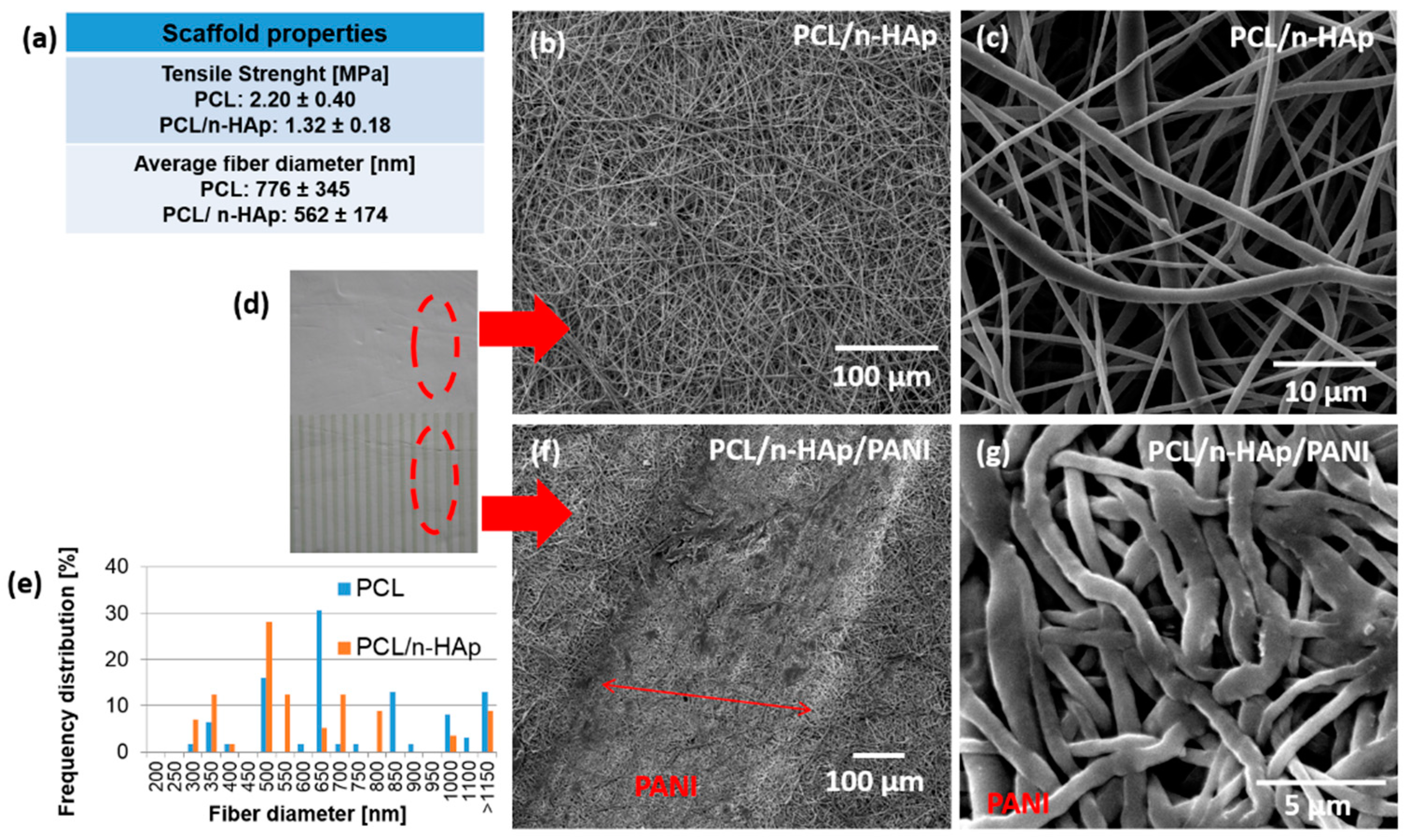 Materials 14 04837 g002 550
