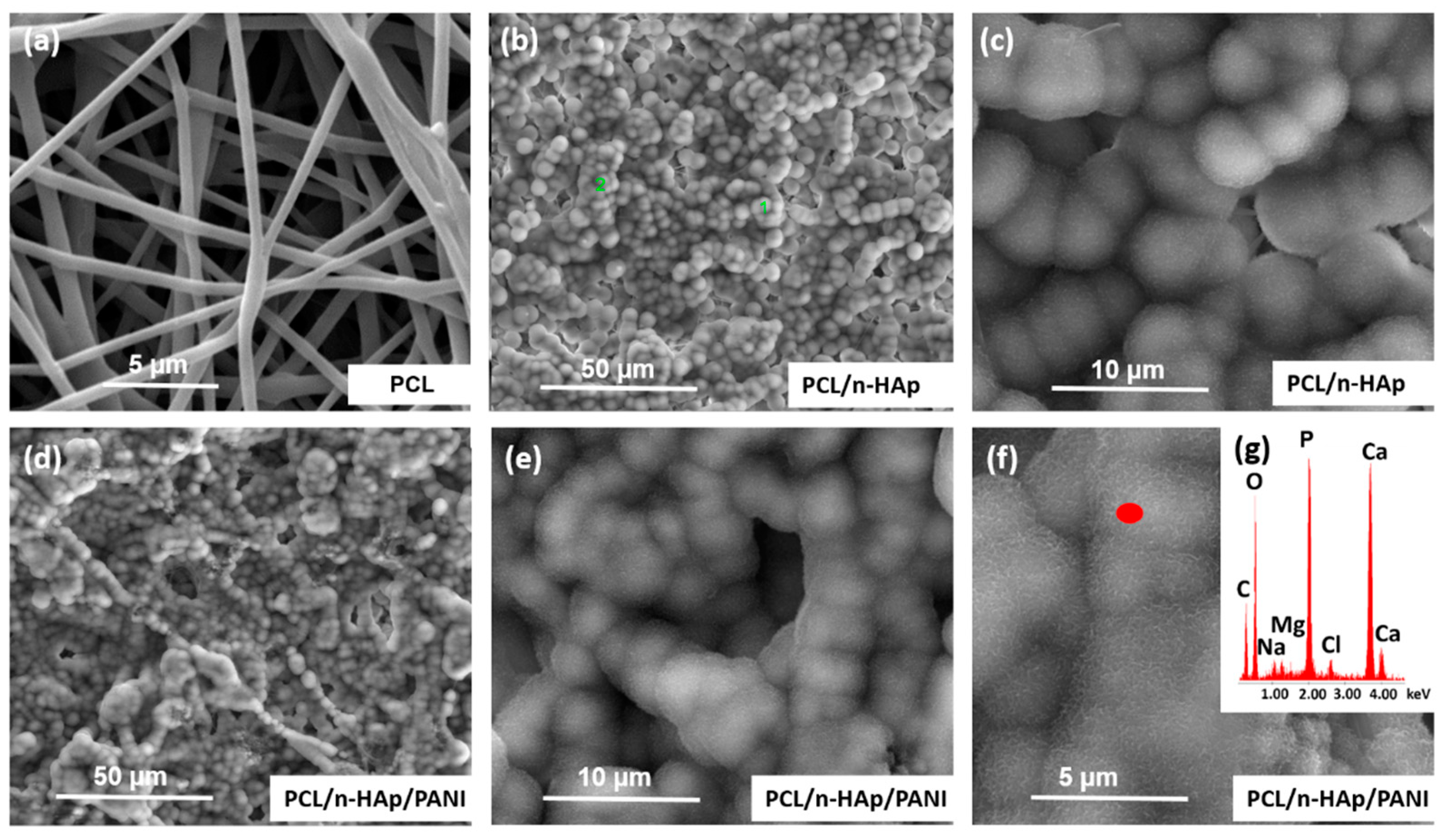 Materials 14 04837 g004 550