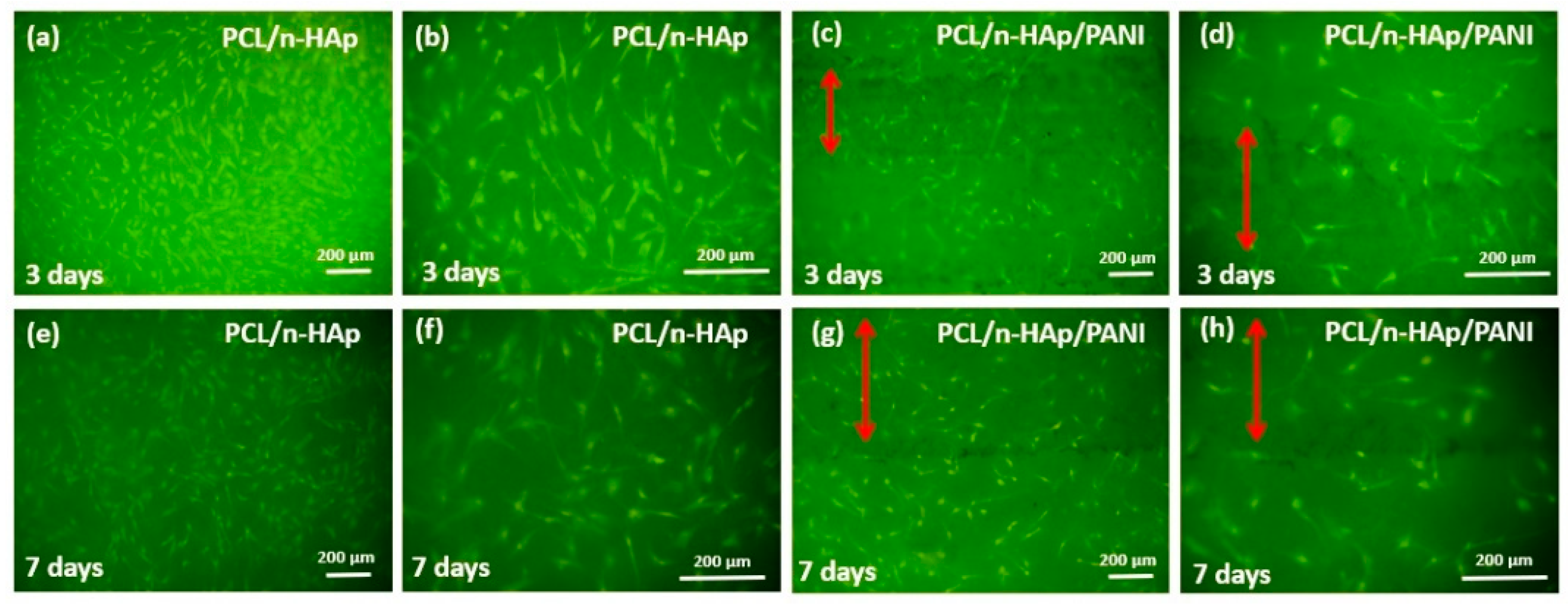 Materials 14 04837 g008 550