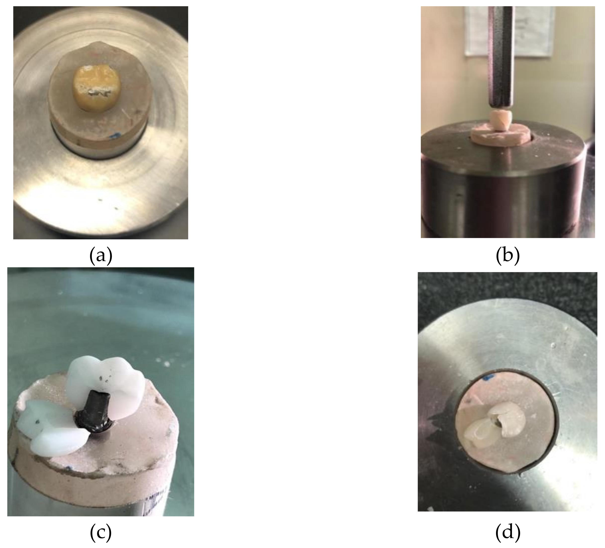 Materials 14 04838 g003