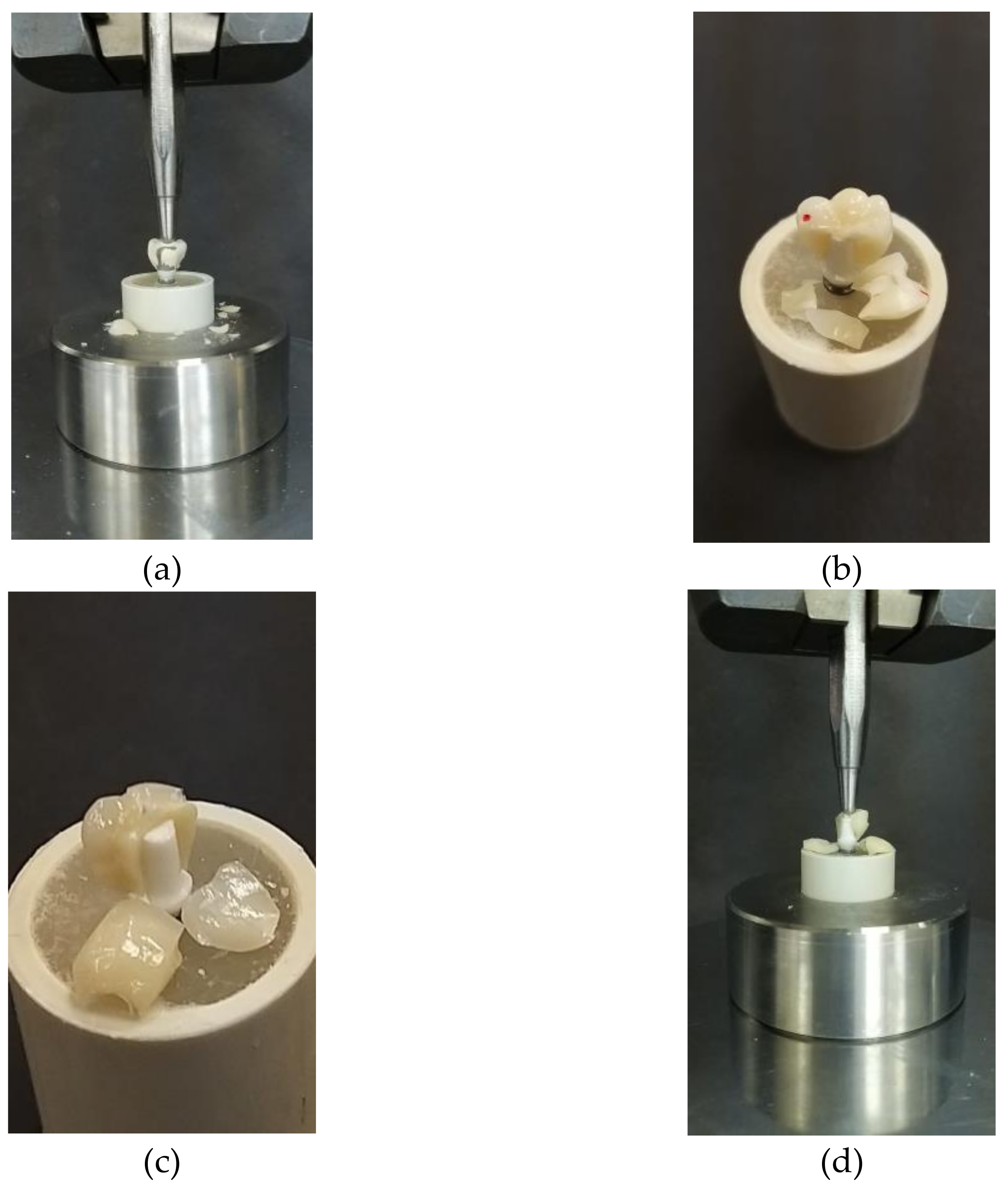 Materials 14 04838 g004