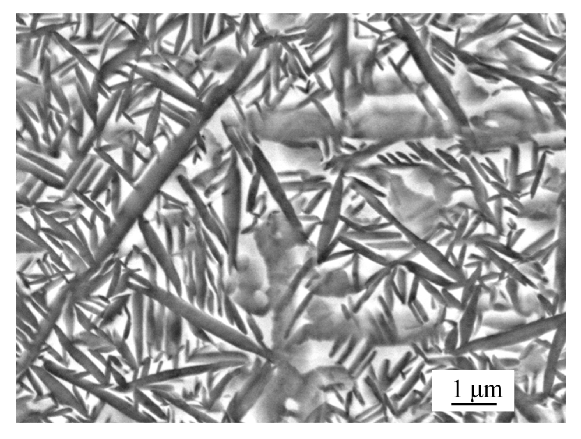 Materials 14 04841 g001