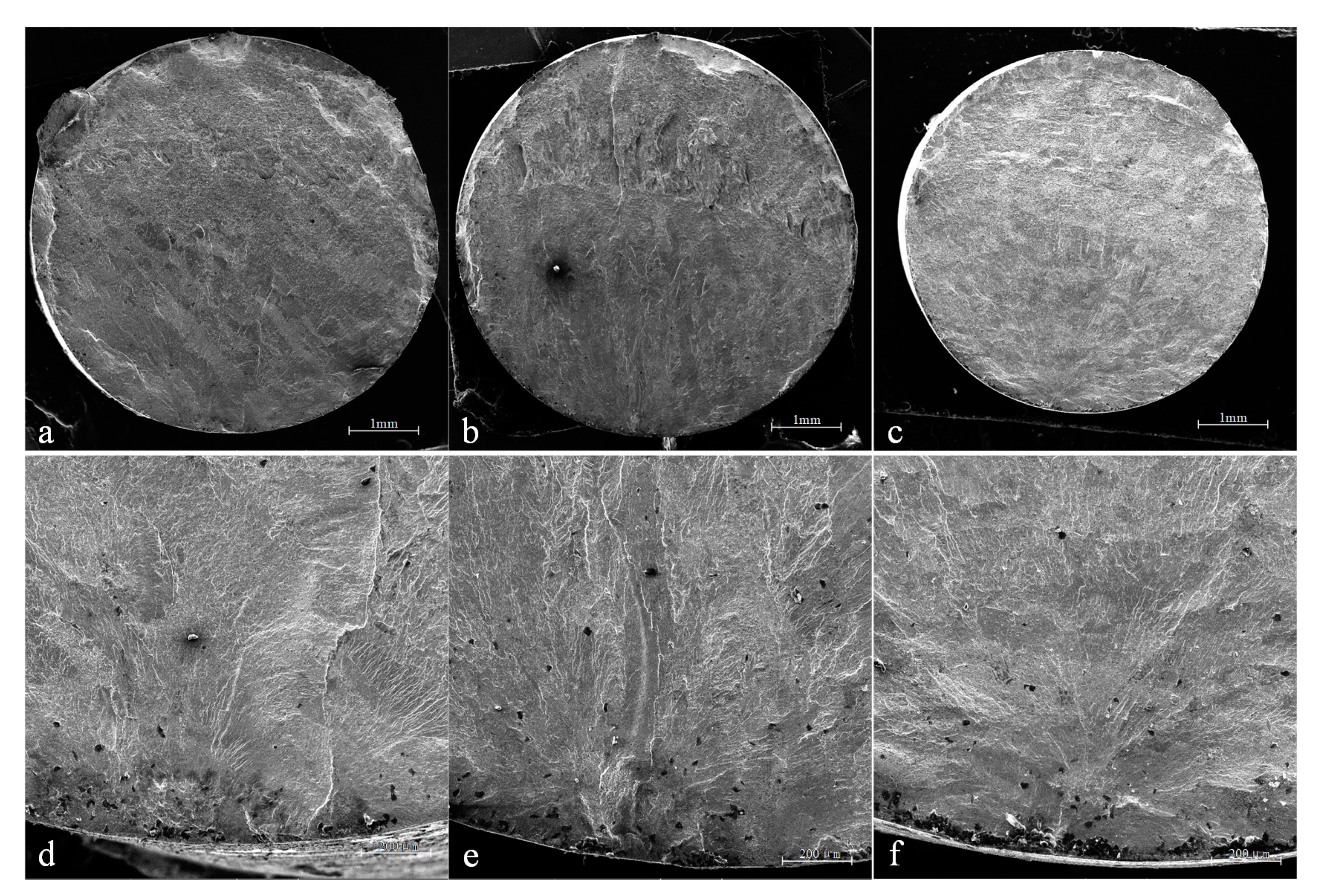 Materials 14 04841 g008