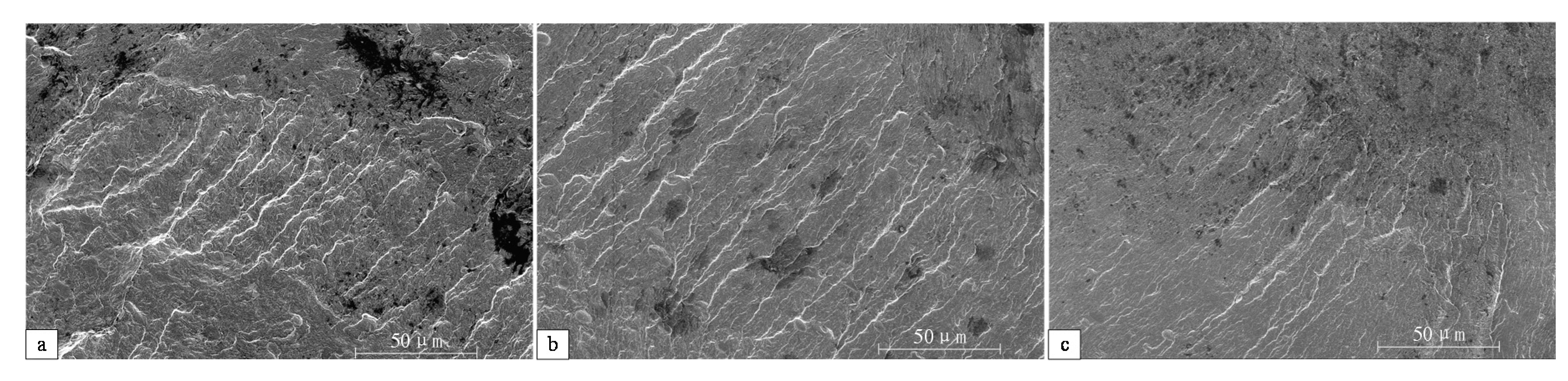 Materials 14 04841 g009