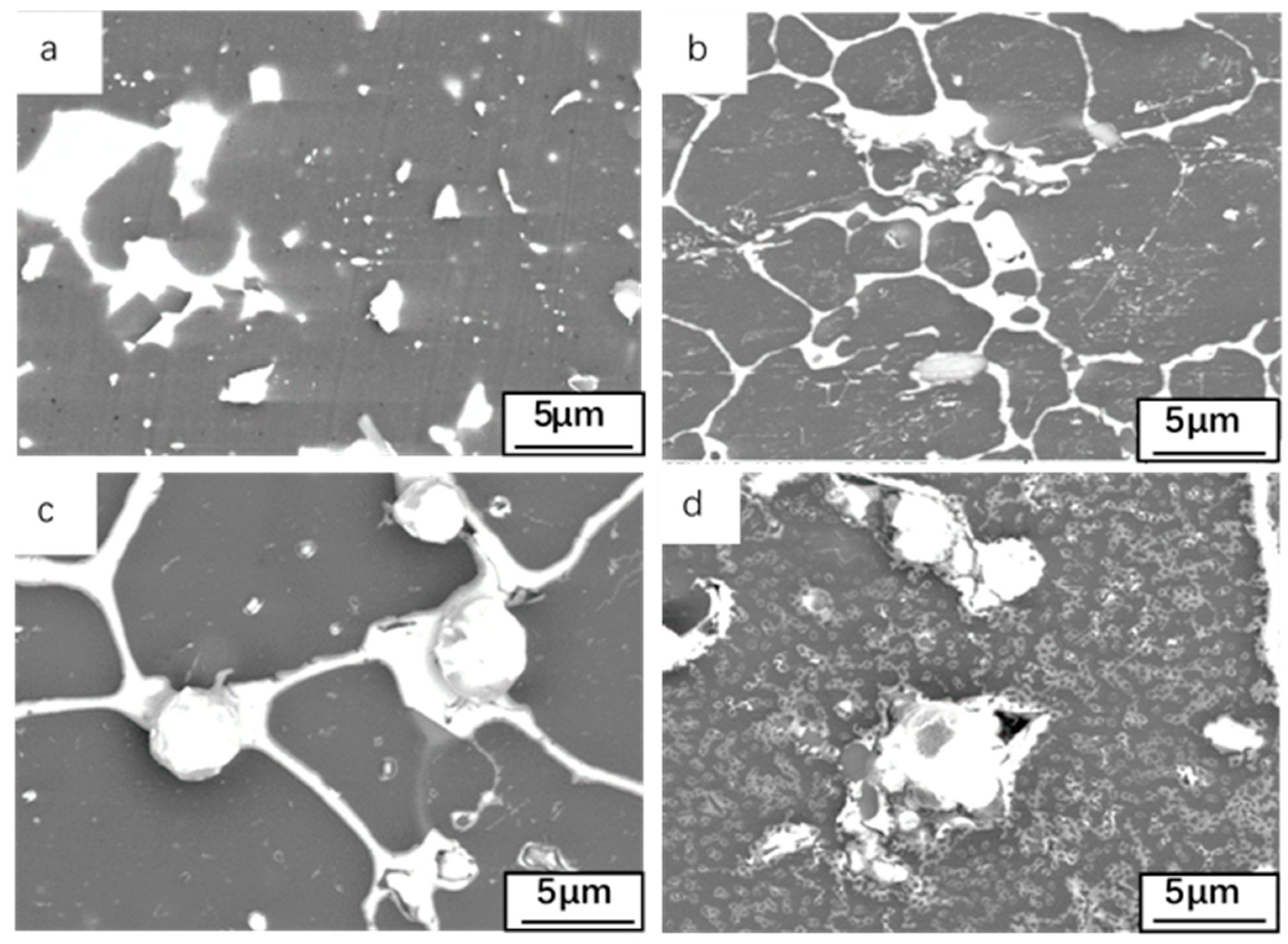 Materials 14 04845 g003 550