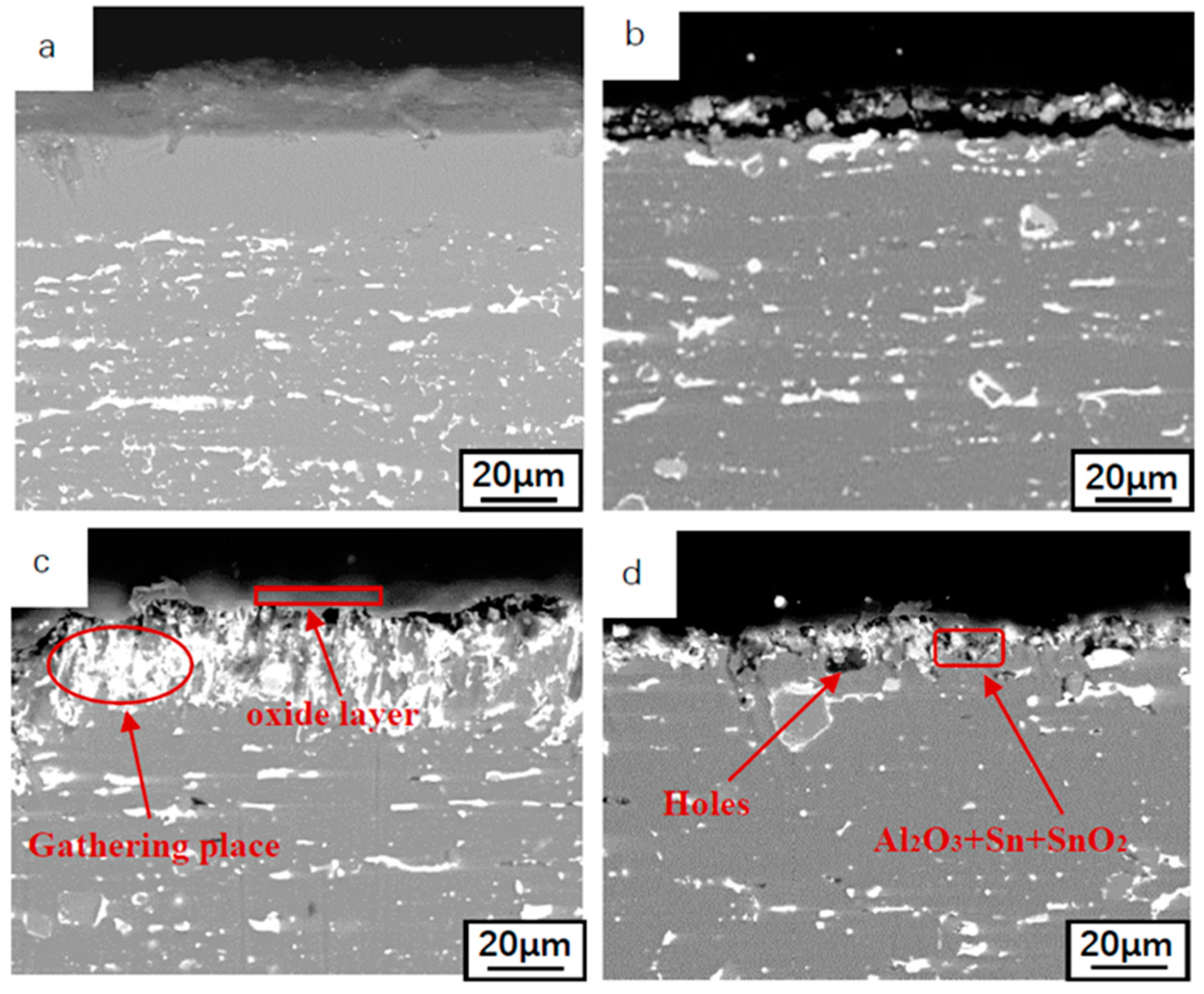 Materials 14 04845 g005 550