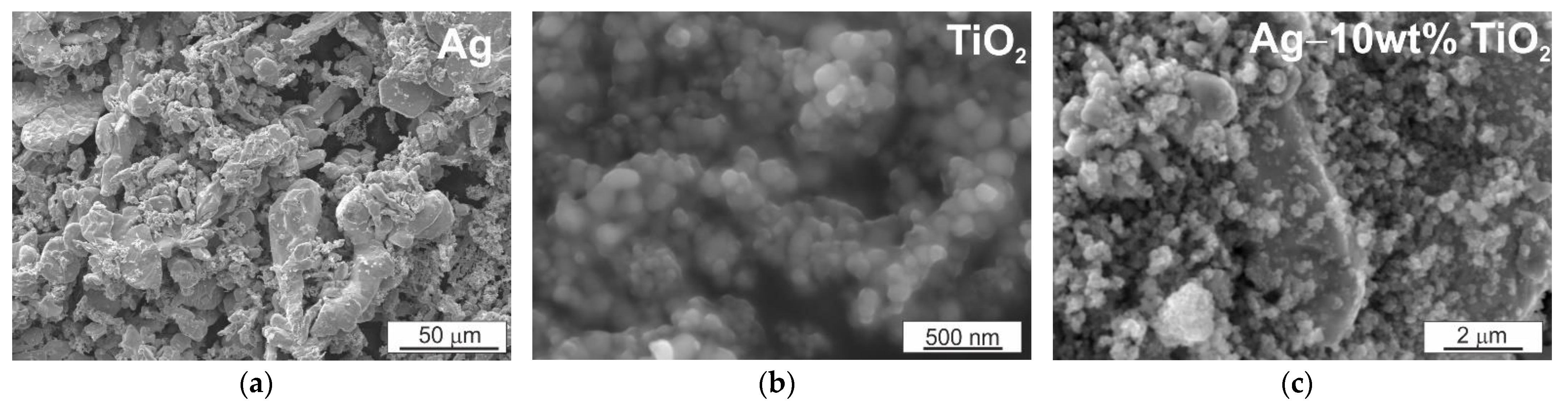 Materials 14 04846 g001 550